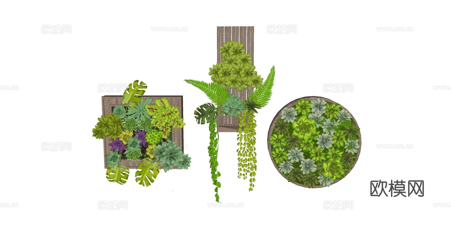 多肉植物墙 垂直绿化墙 室内绿植墙 多肉组合盆栽 竹编壁挂花su模型su模型