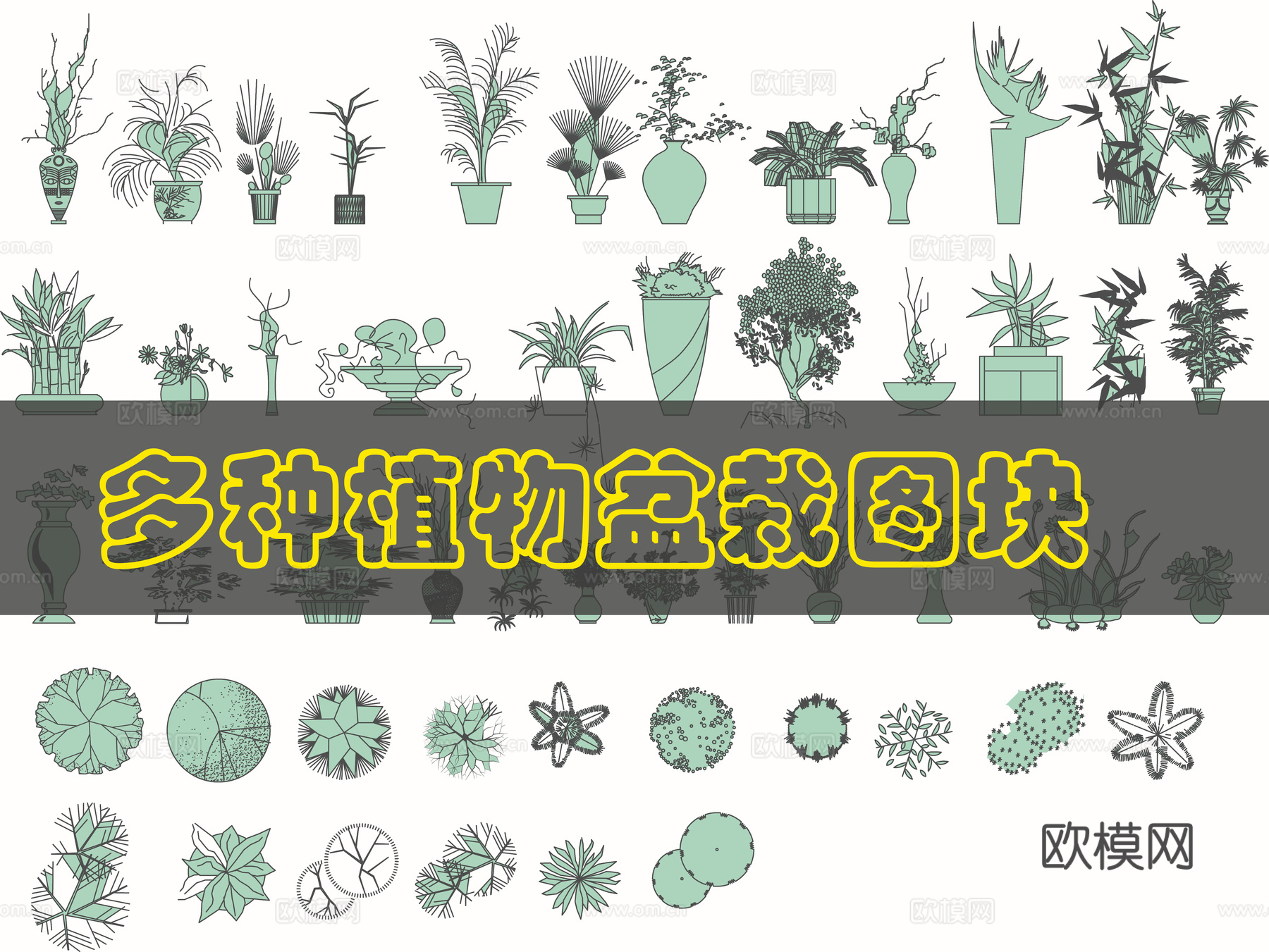 植物平立面图库2cad施工图