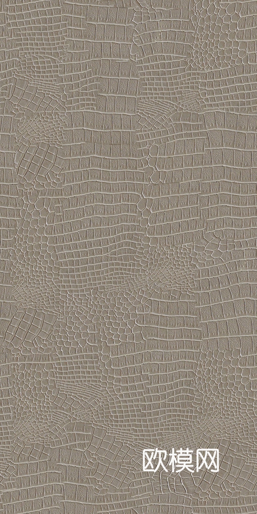 灰色鳄鱼皮下载