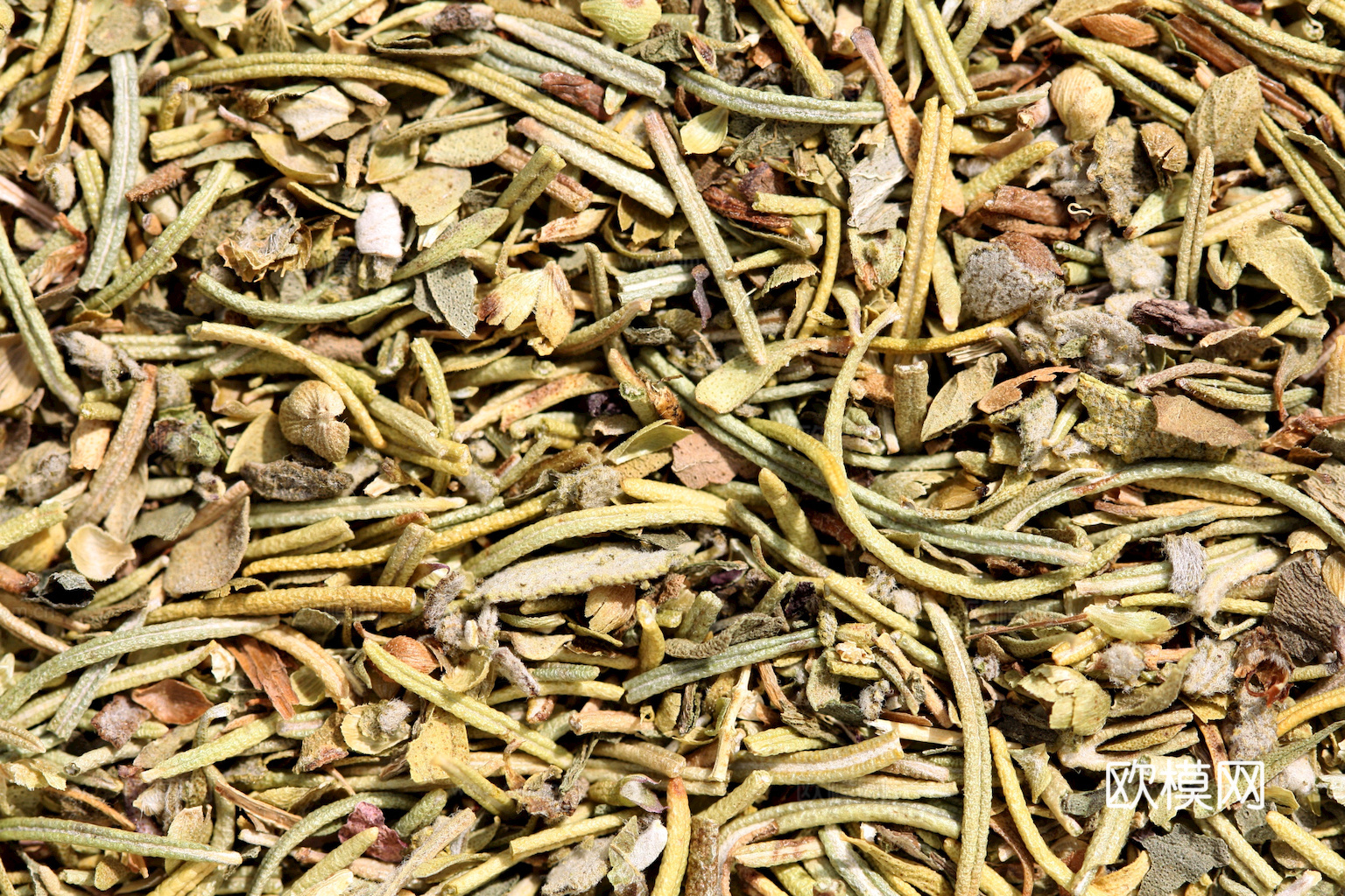 食物 蔬菜 香料 调料 玉米 包菜 辣椒