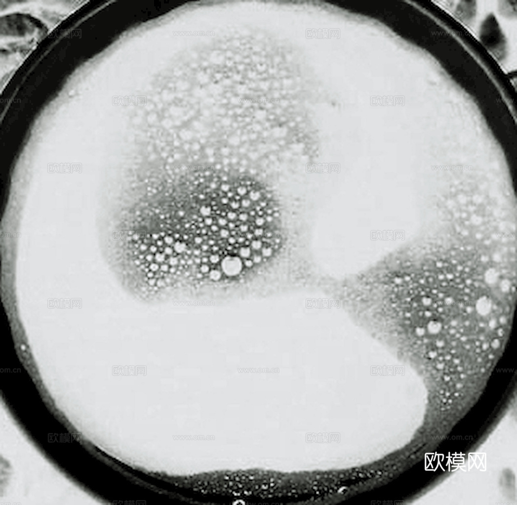 菜单 招牌 咖啡店奶茶店菜单涂鸦黑板 红酒酒瓶标签 横眉门楣下载