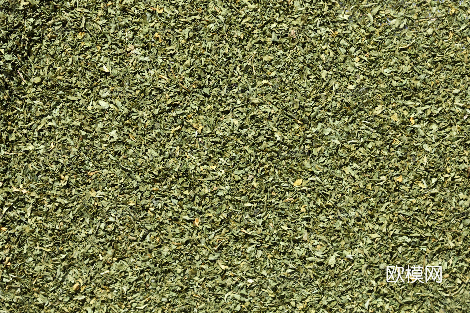 食物 蔬菜 香料 调料 玉米 包菜 辣椒