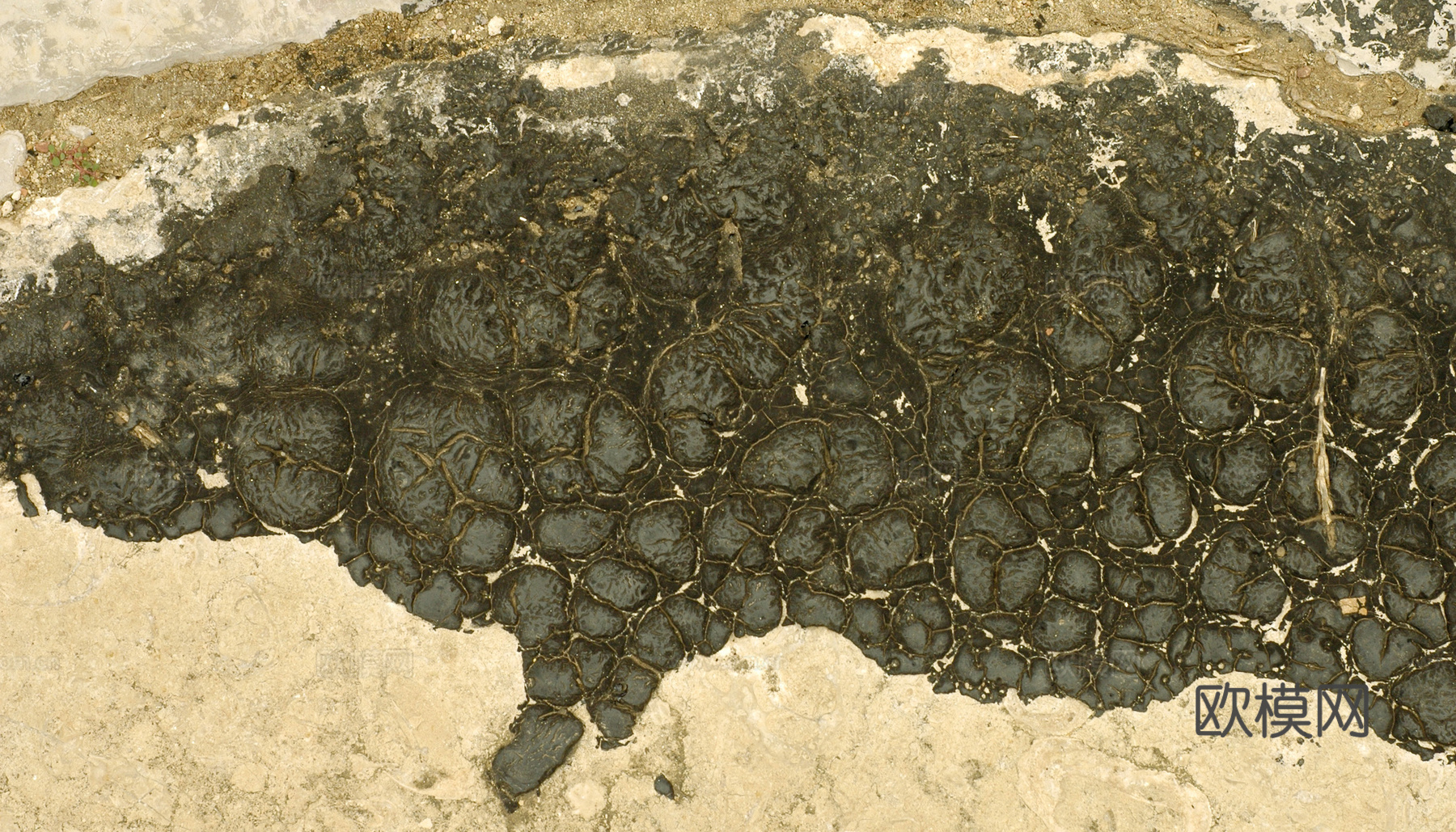 破损破旧塑料橡胶 废弃塑料橡胶 塑料布 轮胎下载