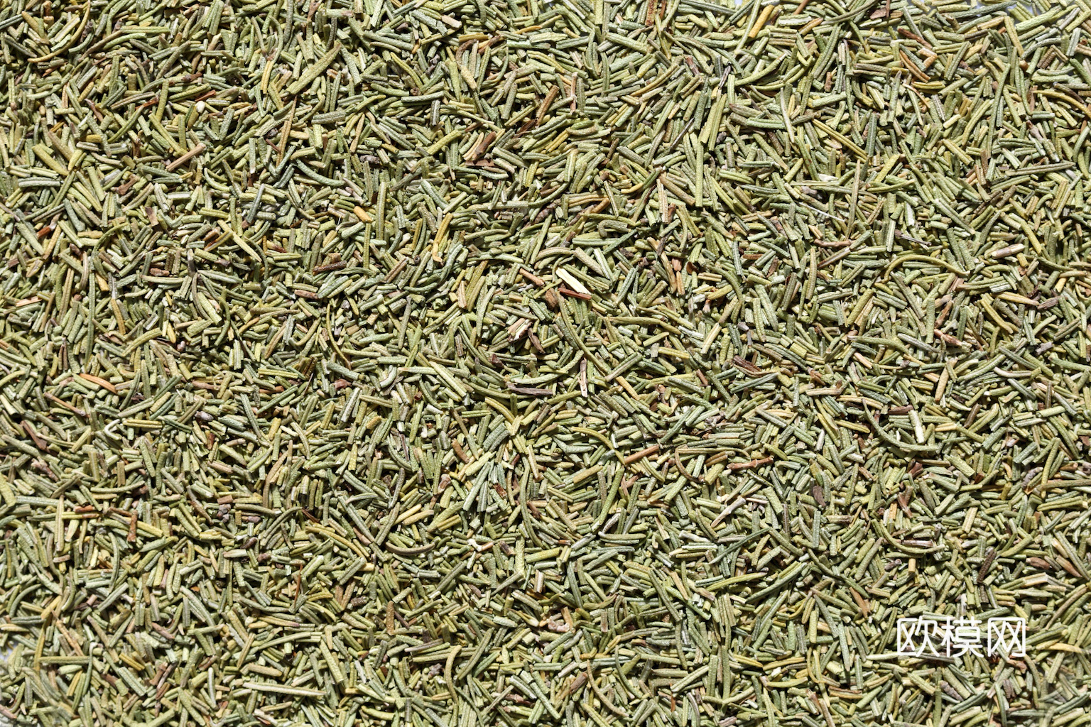 食物 蔬菜 香料 调料 玉米 包菜 辣椒