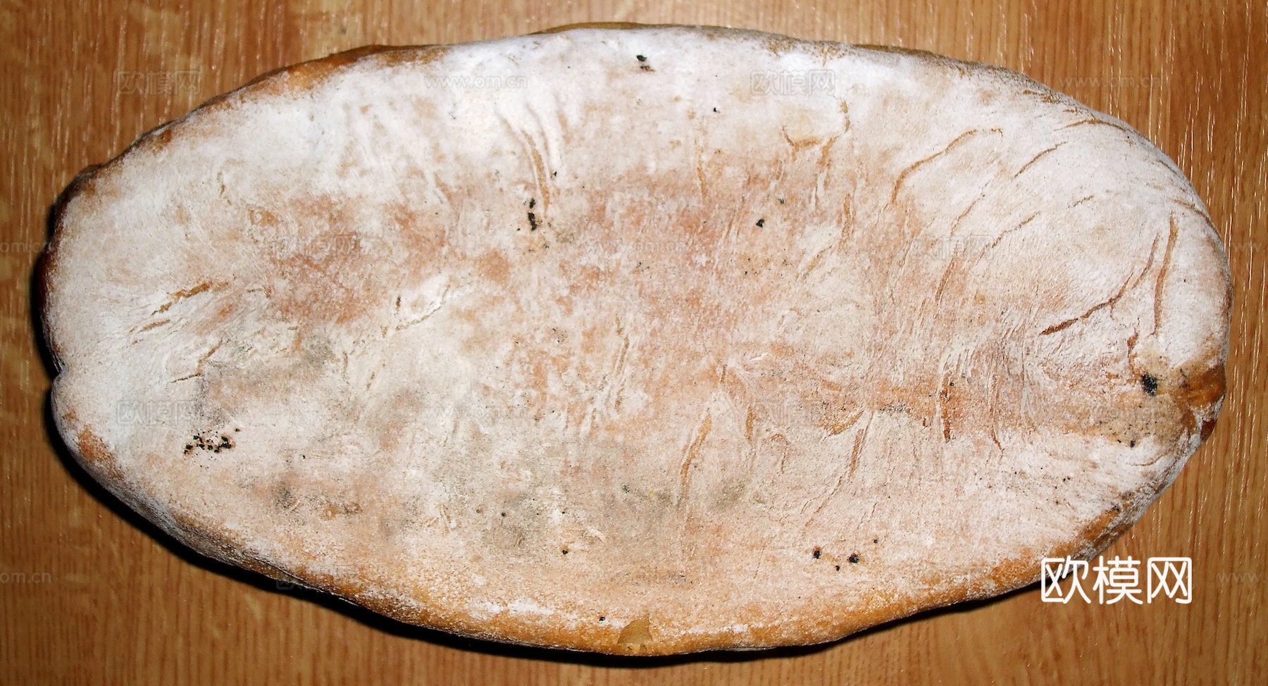 食物 蔬菜 香料 调料 玉米 包菜 辣椒下载