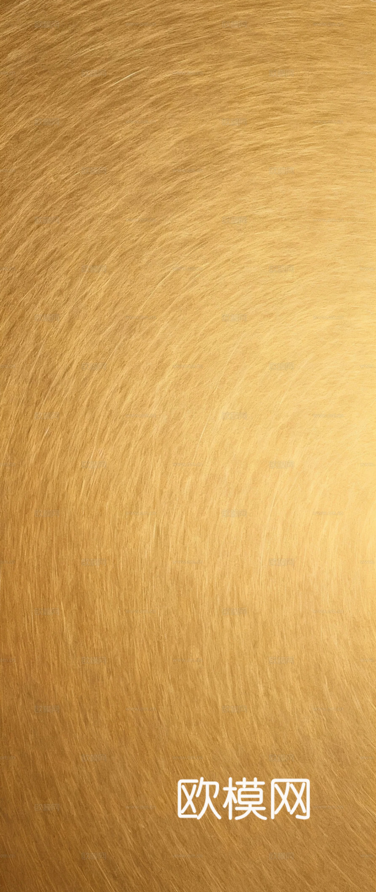 现代轻奢 香槟金拉丝不锈钢 金色不锈钢 古铜色拉丝不锈钢