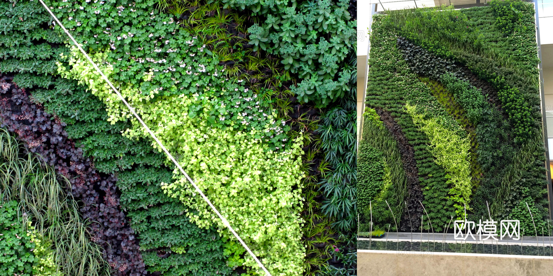植物墙 绿植 植被 花卉 绿叶背景景墙 装饰墙 植物堆