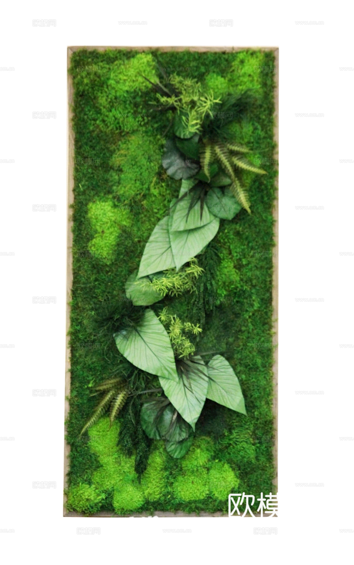 植物墙 绿植 植被 花卉 绿叶背景景墙 装饰墙 植物堆