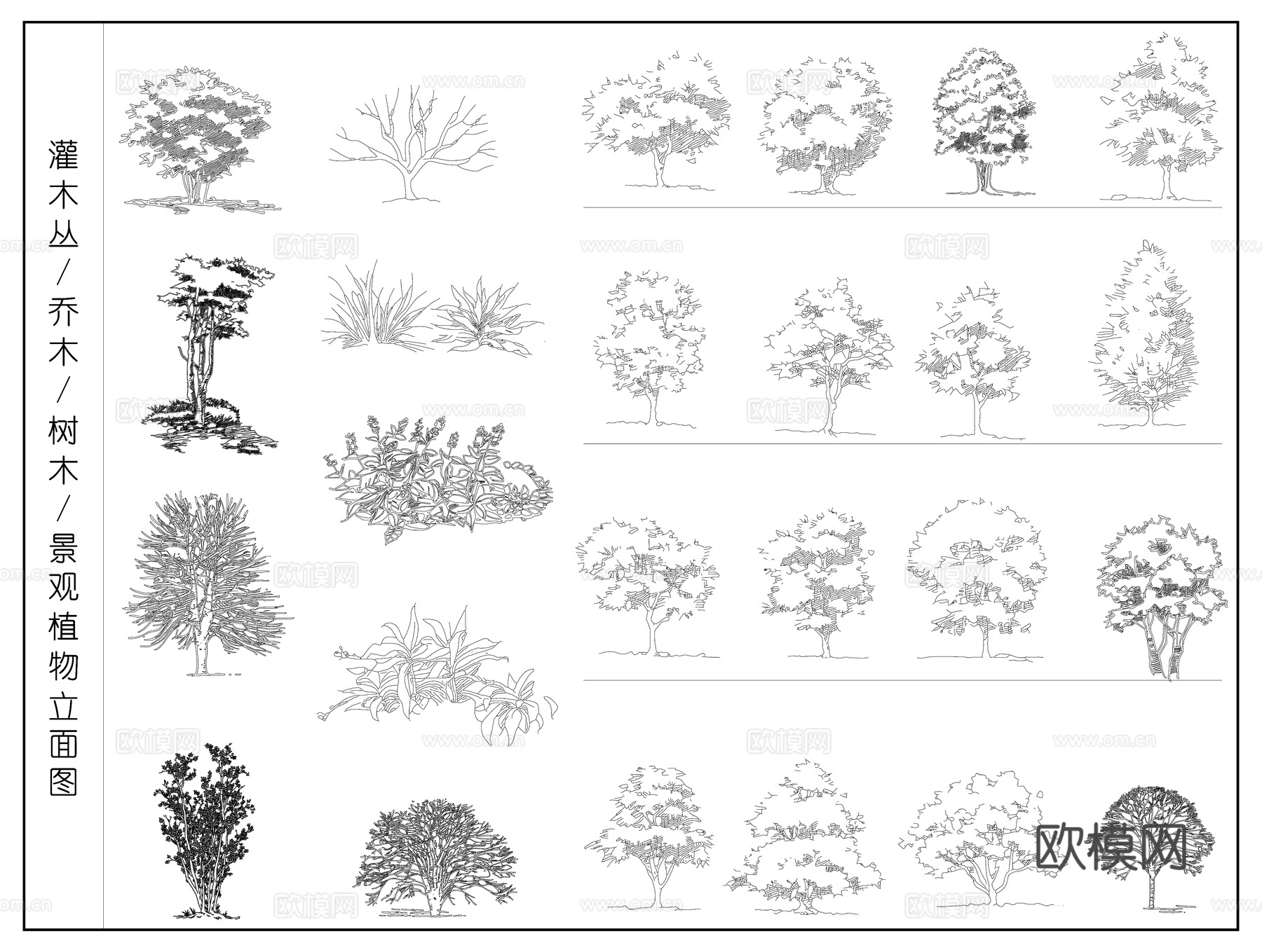 乔木 树木 灌木丛  景观植物立面图cad施工图