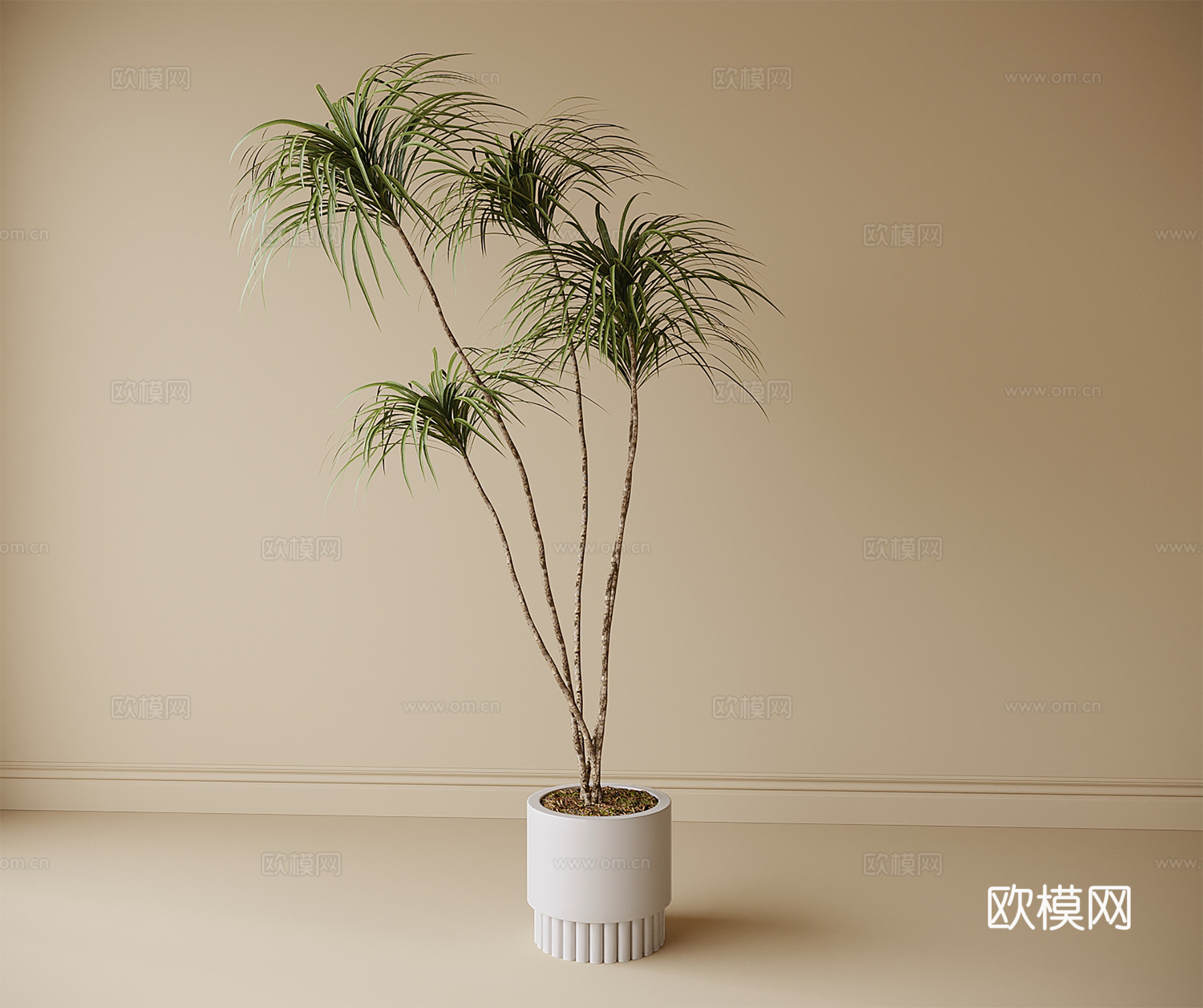 现代盆栽盆景 植物绿植su模型