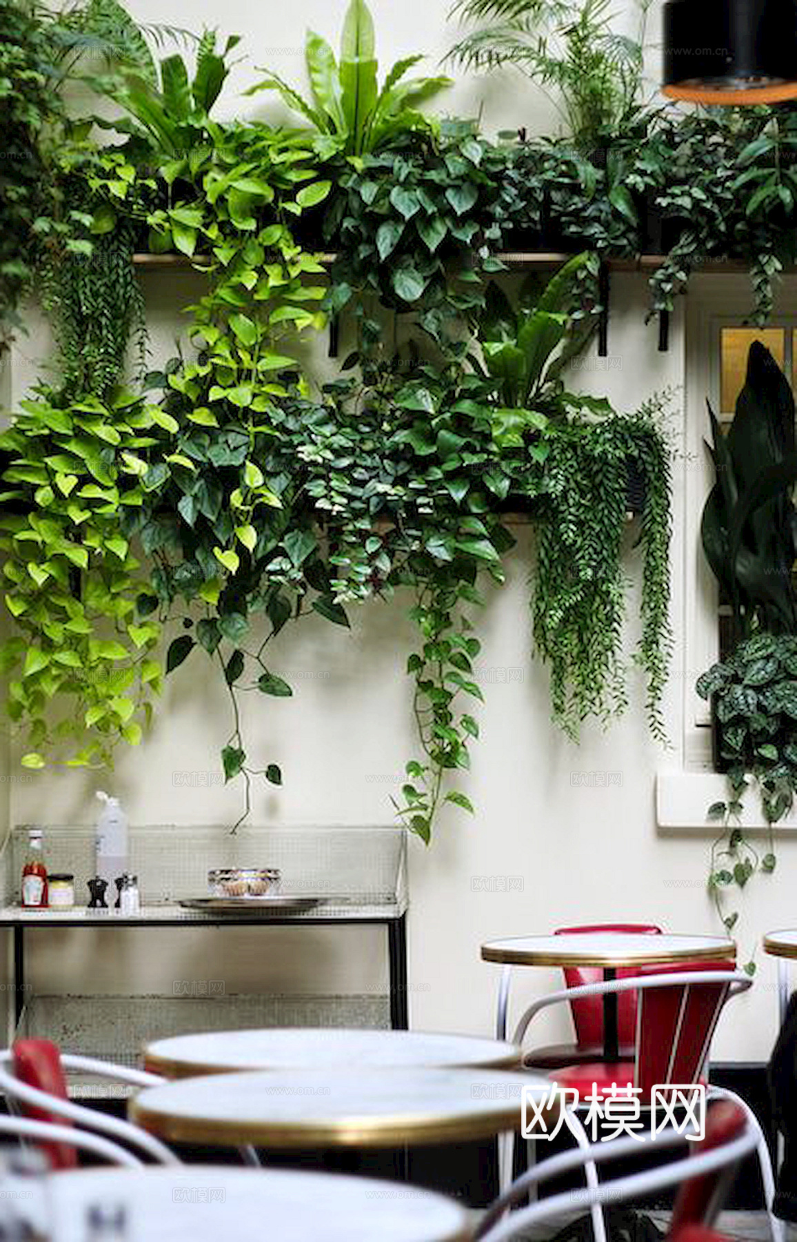 植物墙 绿植 植被 花卉 绿叶背景景墙 装饰墙 植物堆下载