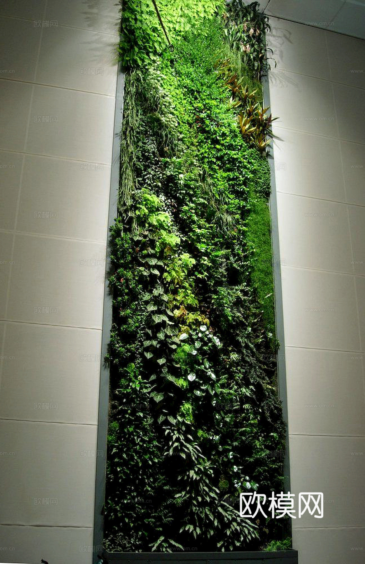植物墙 绿植 植被 花卉 绿叶背景景墙 装饰墙 植物堆