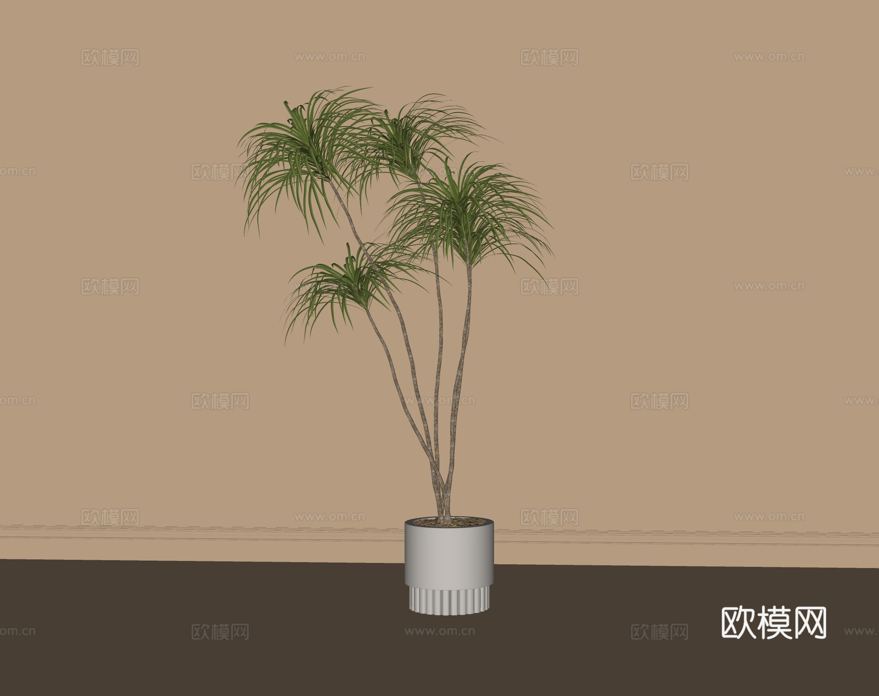 现代盆栽盆景 植物绿植su模型