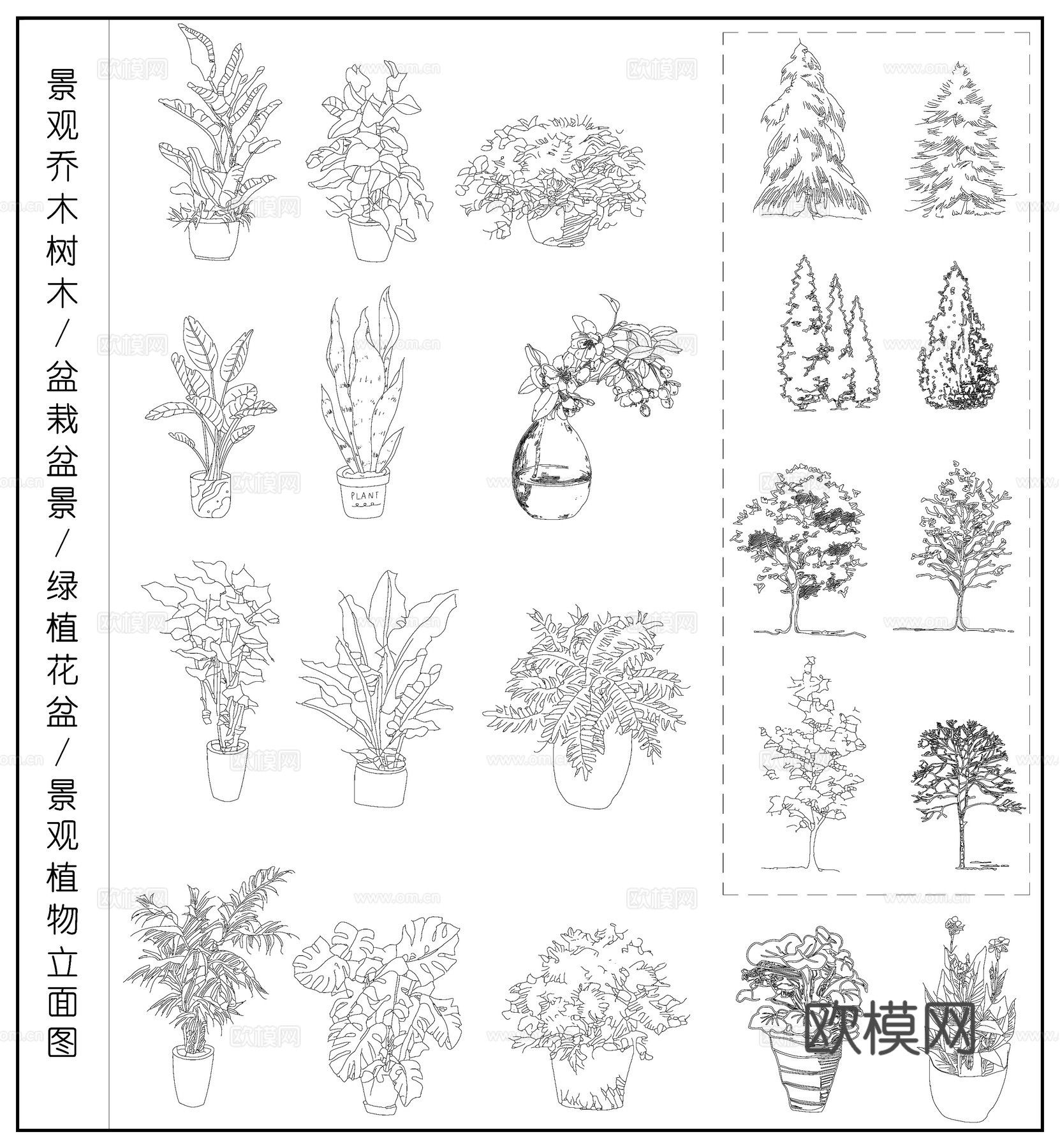 景观乔木树木 盆栽盆景  绿植花盆 植物立面图cad施工图