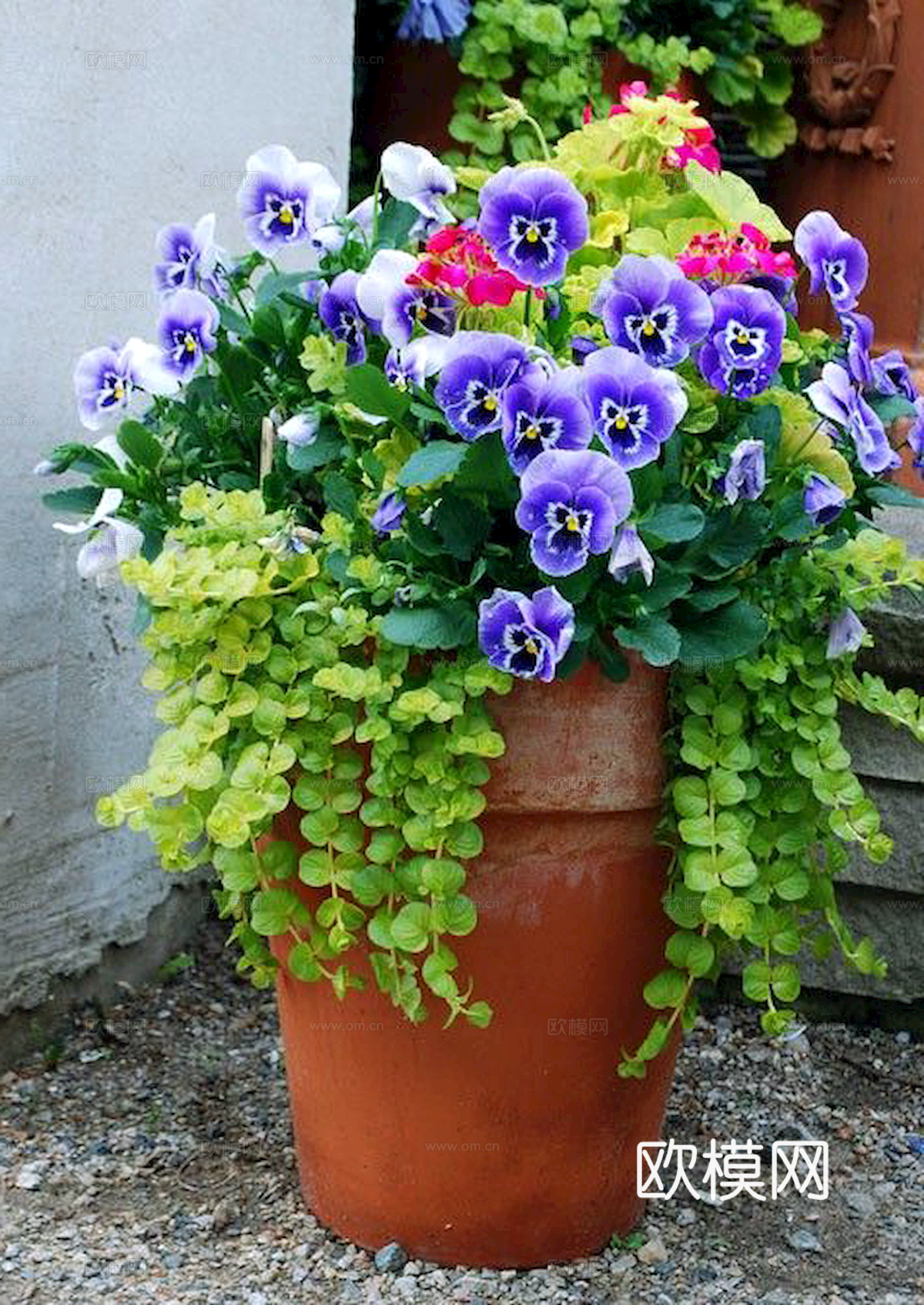 植物墙 绿植 植被 花卉 绿叶背景景墙 装饰墙 植物堆