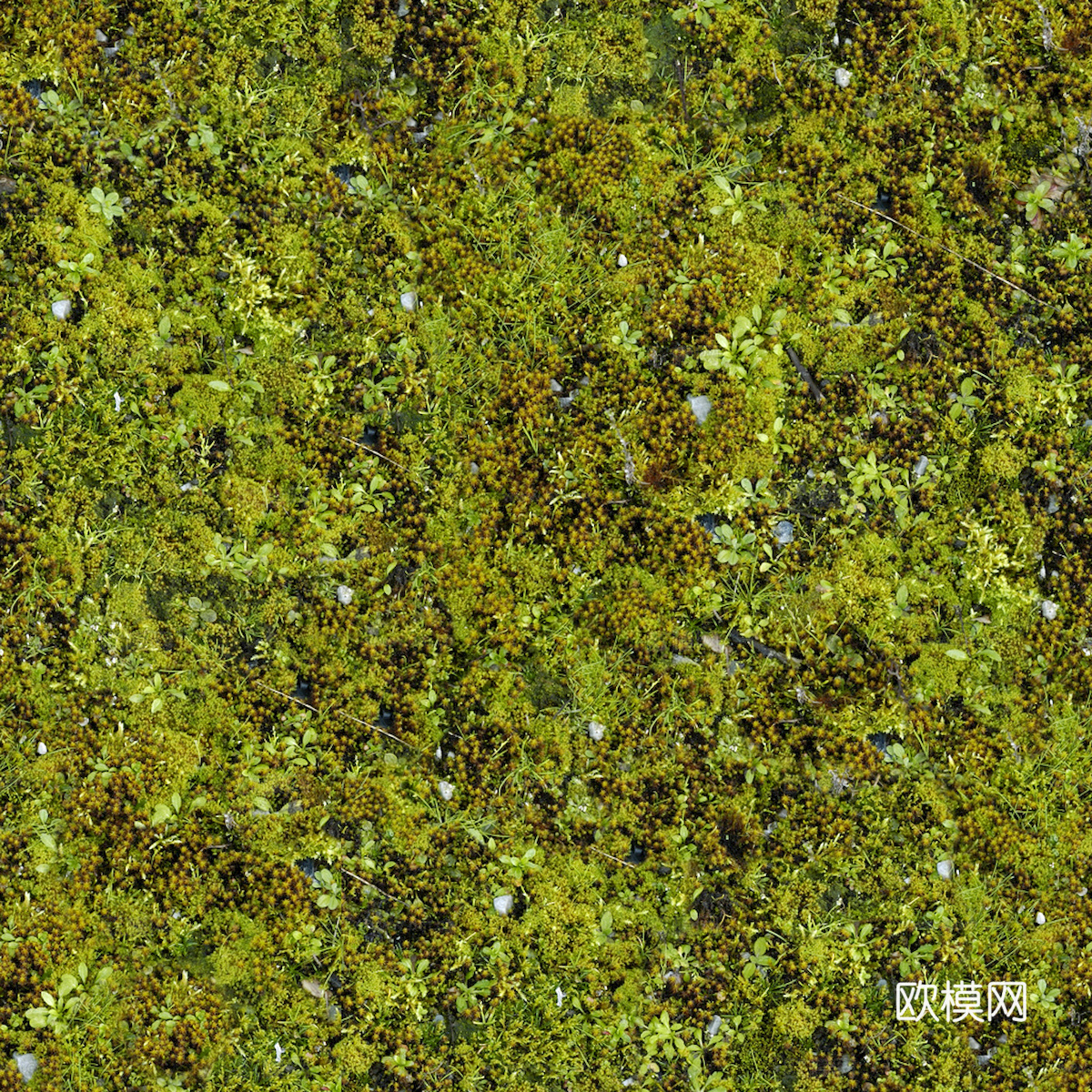 植物墙 绿植 植被 花卉 绿叶背景景墙 装饰墙 植物堆