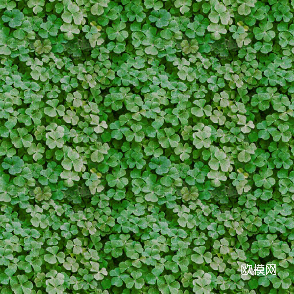 植物墙 绿植 植被 花卉 绿叶背景景墙 装饰墙 植物堆下载