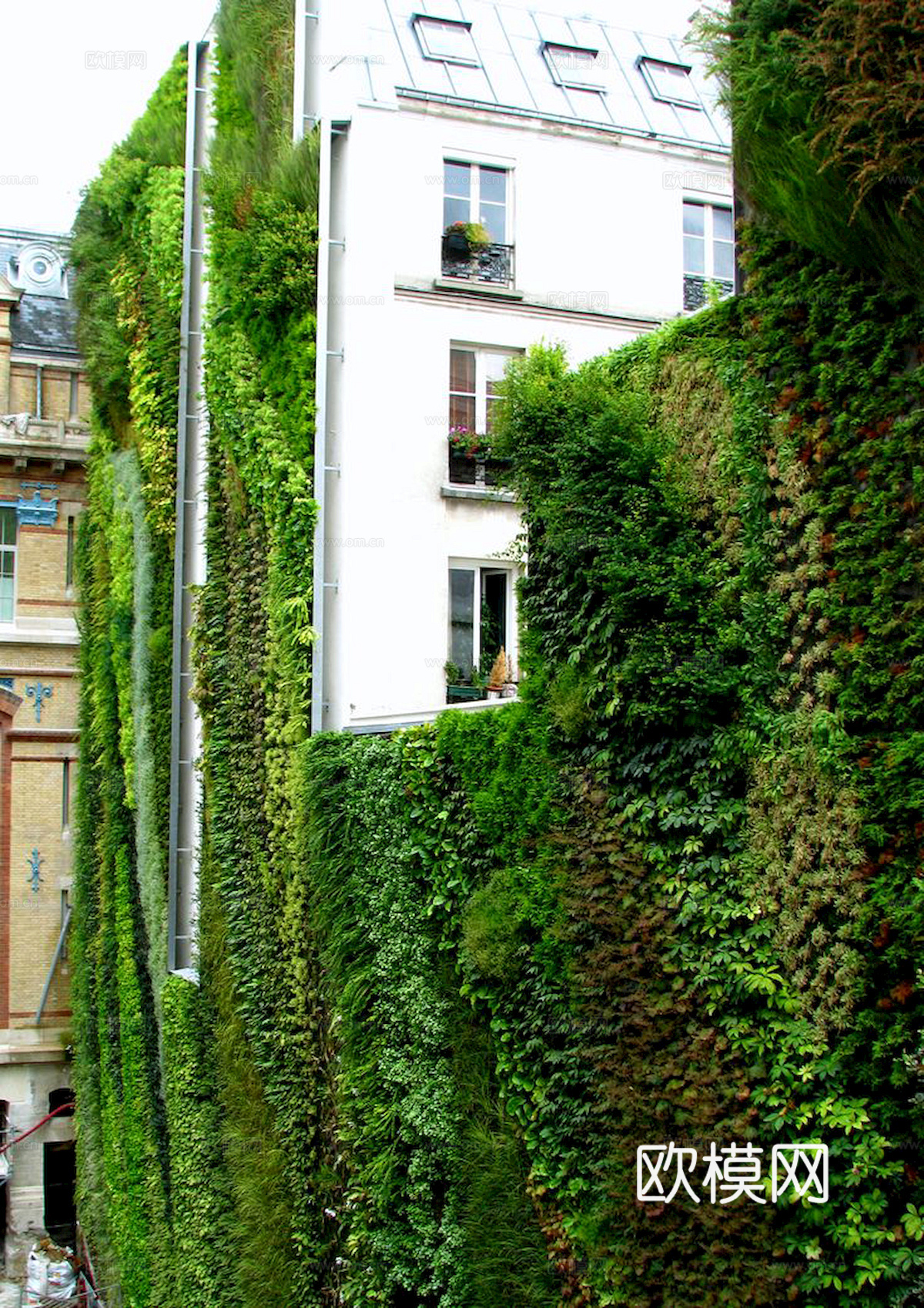 植物墙 绿植 植被 花卉 绿叶背景景墙 装饰墙 植物堆