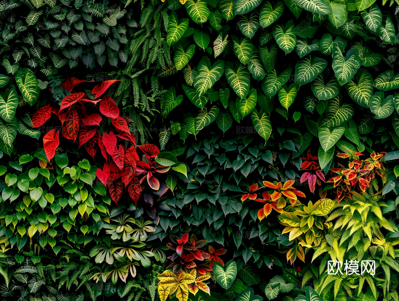 植物墙 绿植 植被 花卉 绿叶背景景墙 装饰墙 植物堆