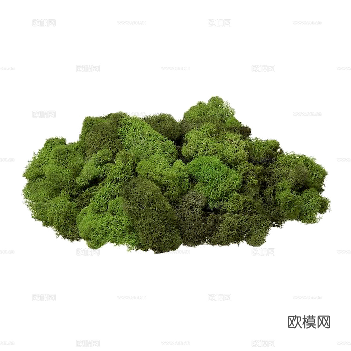 植物墙 绿植 植被 花卉 绿叶背景景墙 装饰墙 植物堆