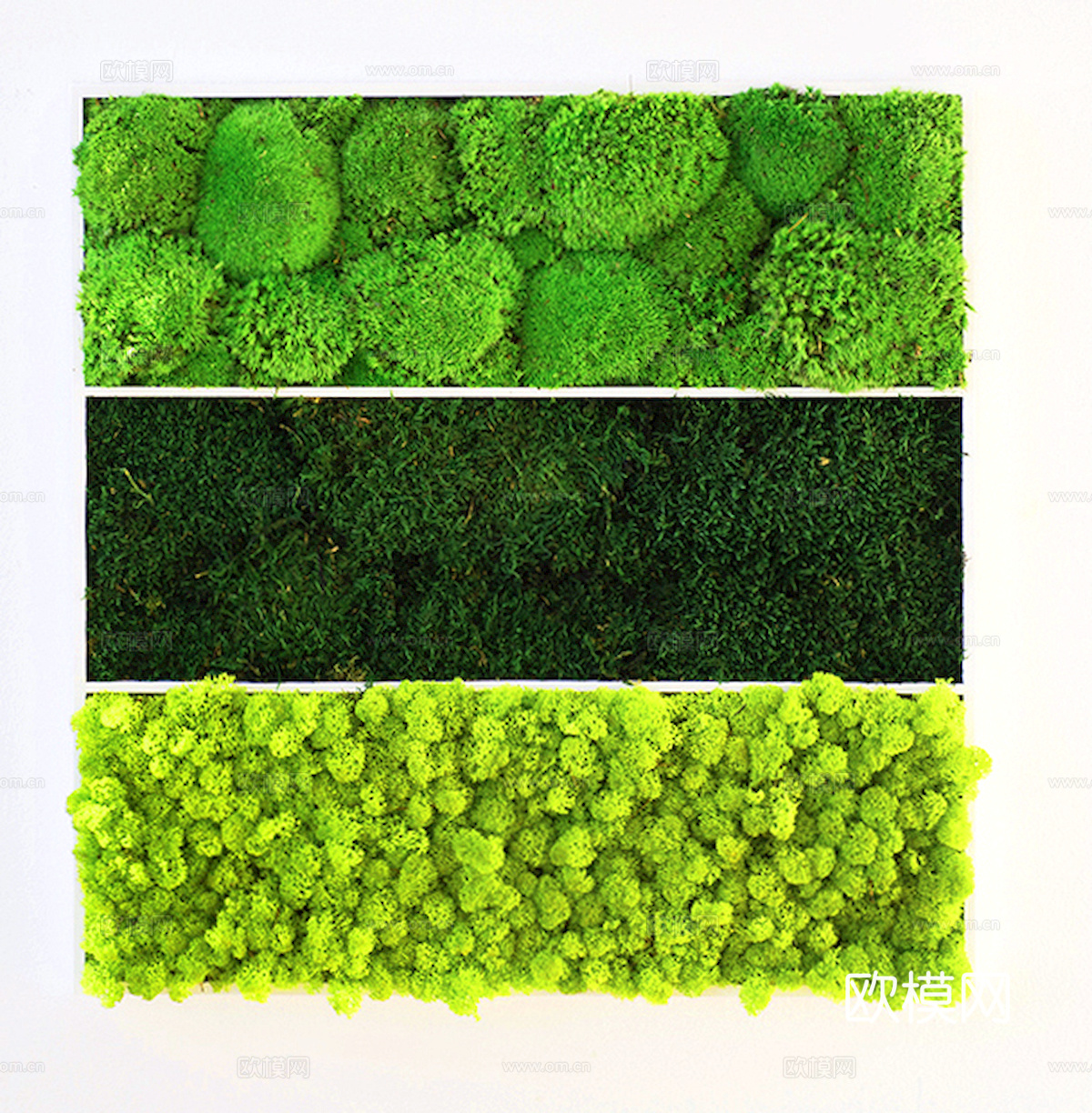 植物墙 绿植 植被 花卉 绿叶背景景墙 装饰墙 植物堆