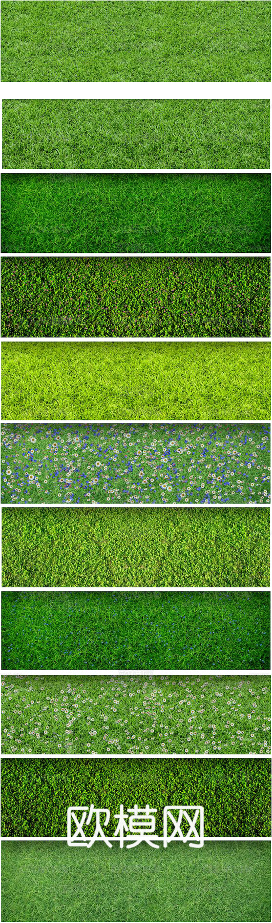 鲜花 花镜花海 花卉花草 花丛 草地草坪 草皮 绿篱 绿化带下载