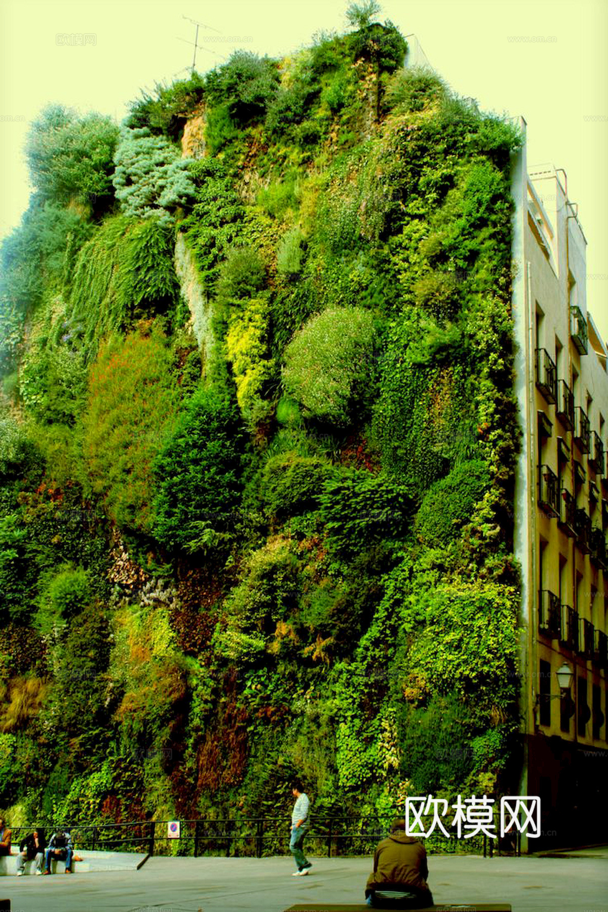 植物墙 绿植 植被 花卉 绿叶背景景墙 装饰墙 植物堆