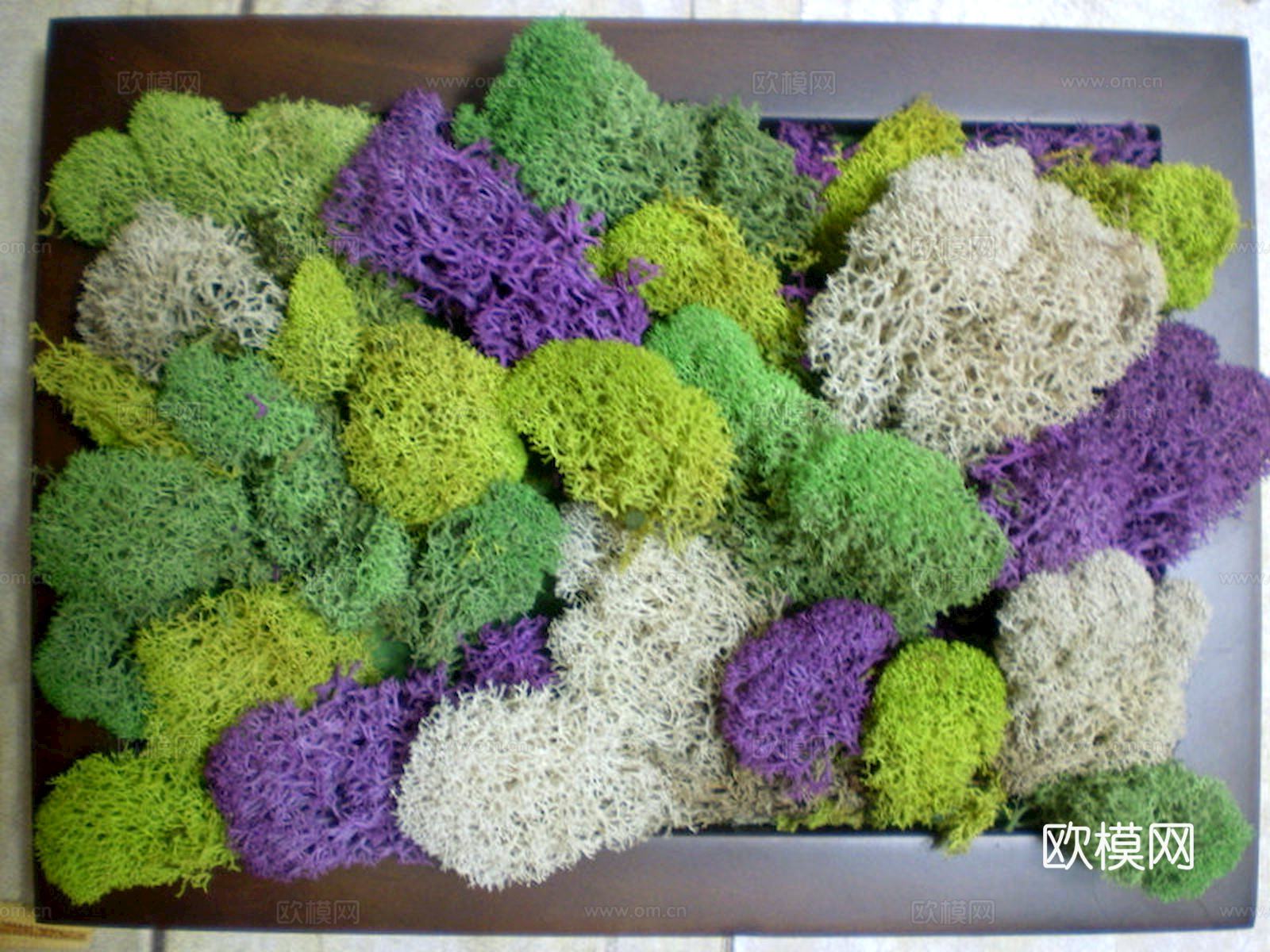 植物墙 绿植 植被 花卉 绿叶背景景墙 装饰墙 植物堆