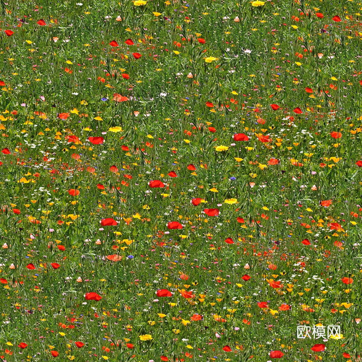 鲜花 花镜花海 花卉花草 花丛 草地草坪 草皮 绿篱 绿化带下载