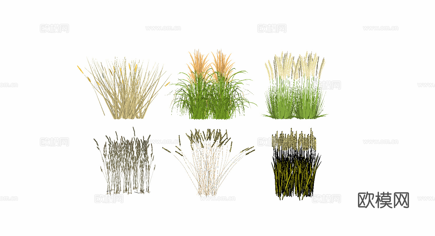 小麦水稻农作物su模型