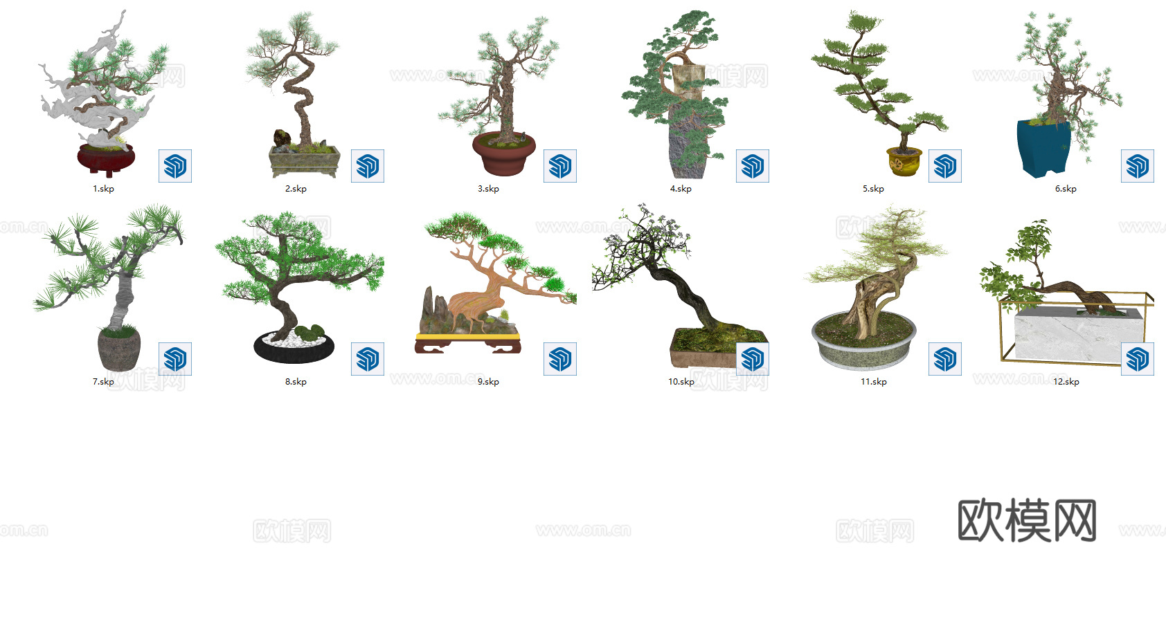 中式松树盆栽盆景_迎客松_罗汉松_景观树su模型