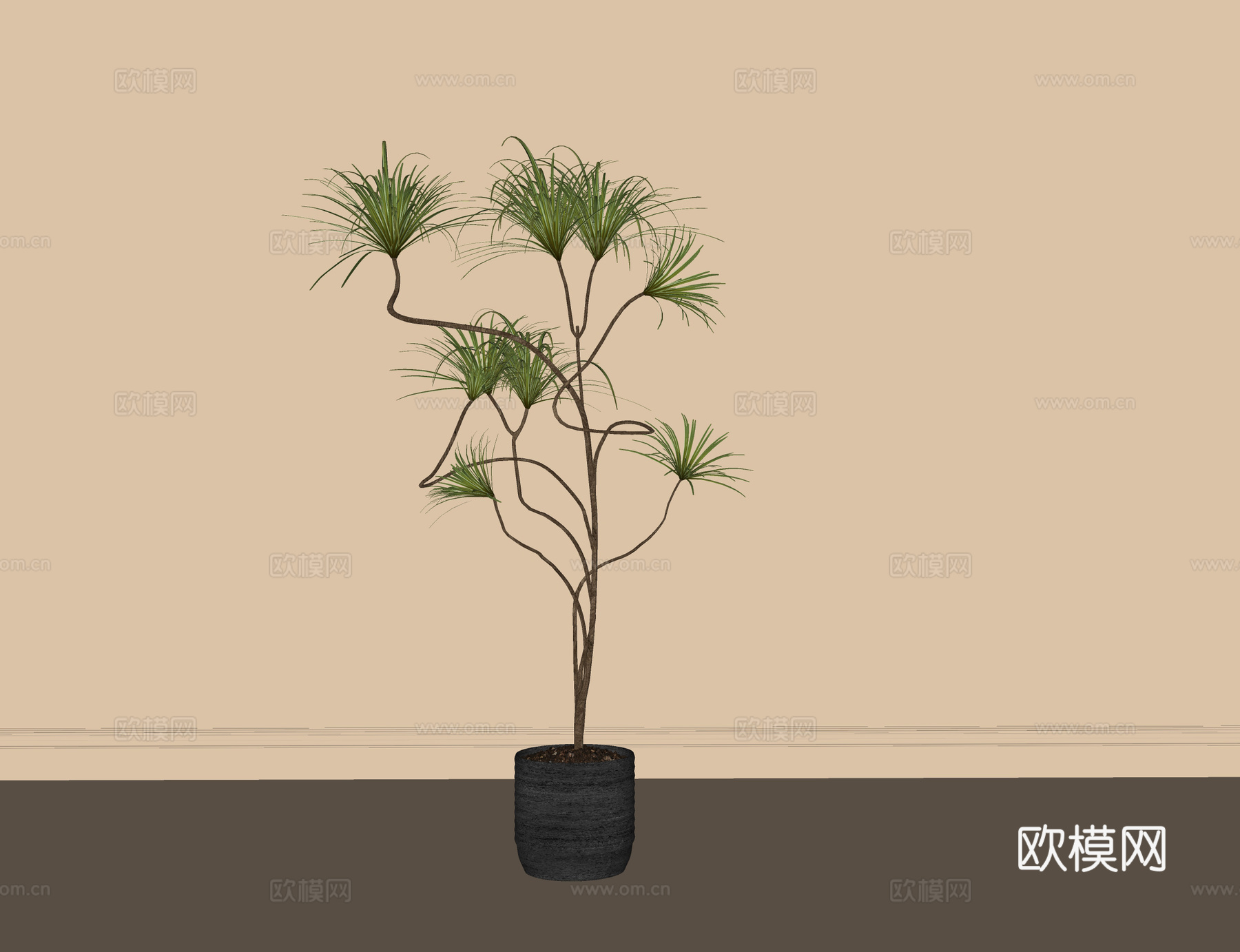 现代盆栽盆景 绿植摆件 绿植su模型