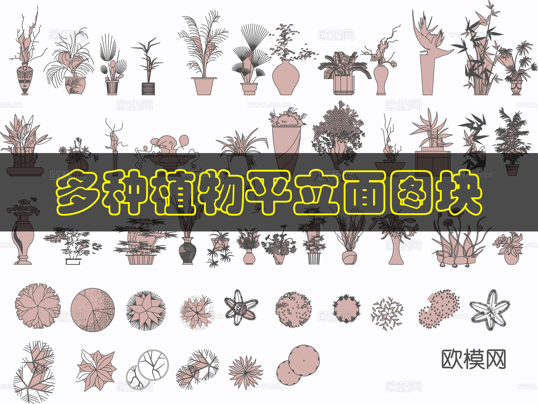 植物CAD图库cad施工图