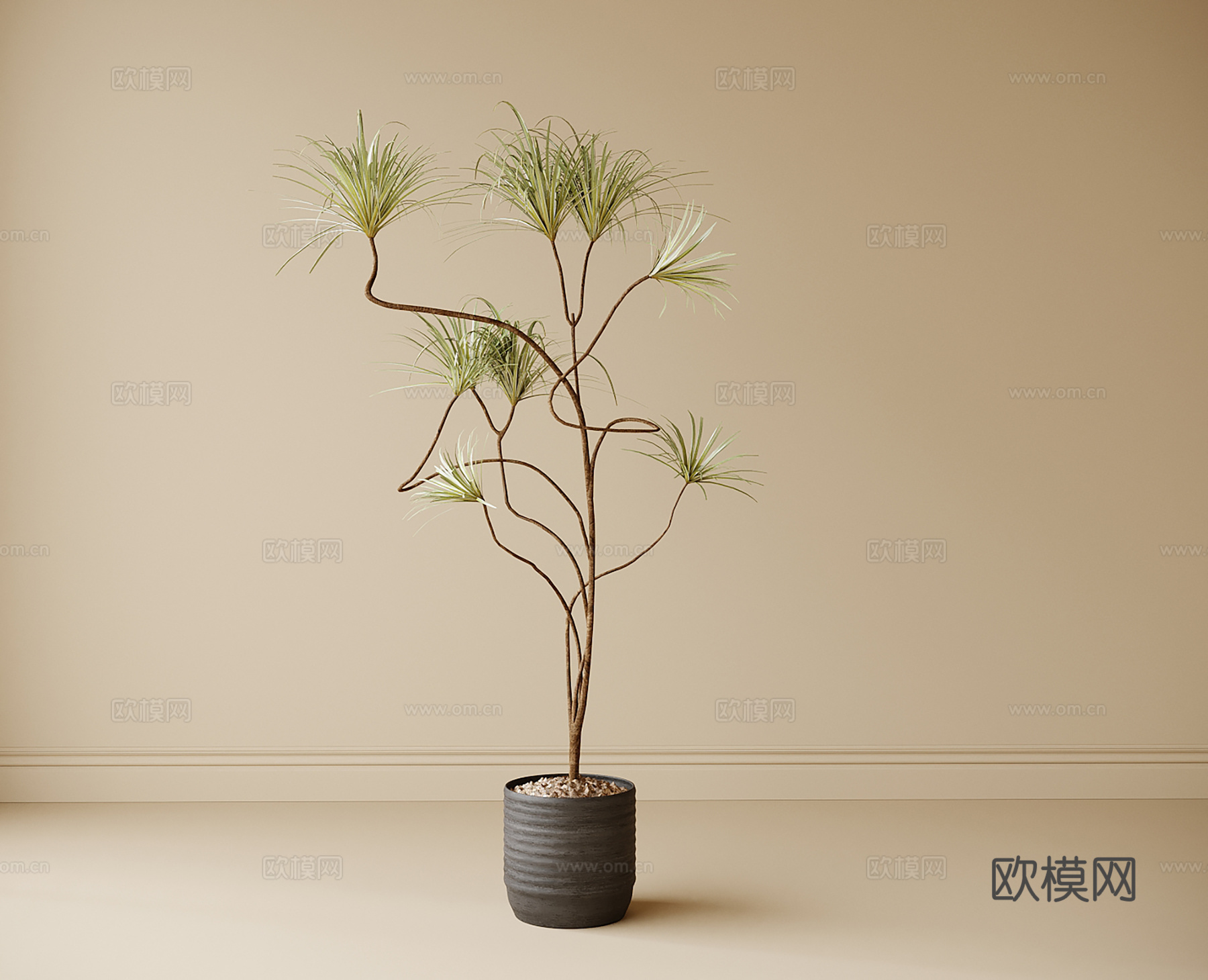 现代盆栽盆景 绿植摆件 绿植su模型