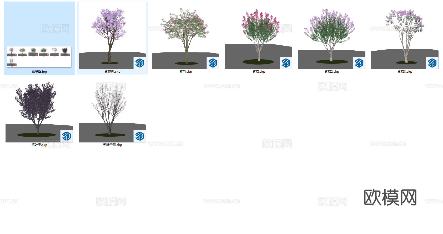 现代风格景观树_花乔_乔木_树木_紫荆树_紫薇树_紫叶李花su模型