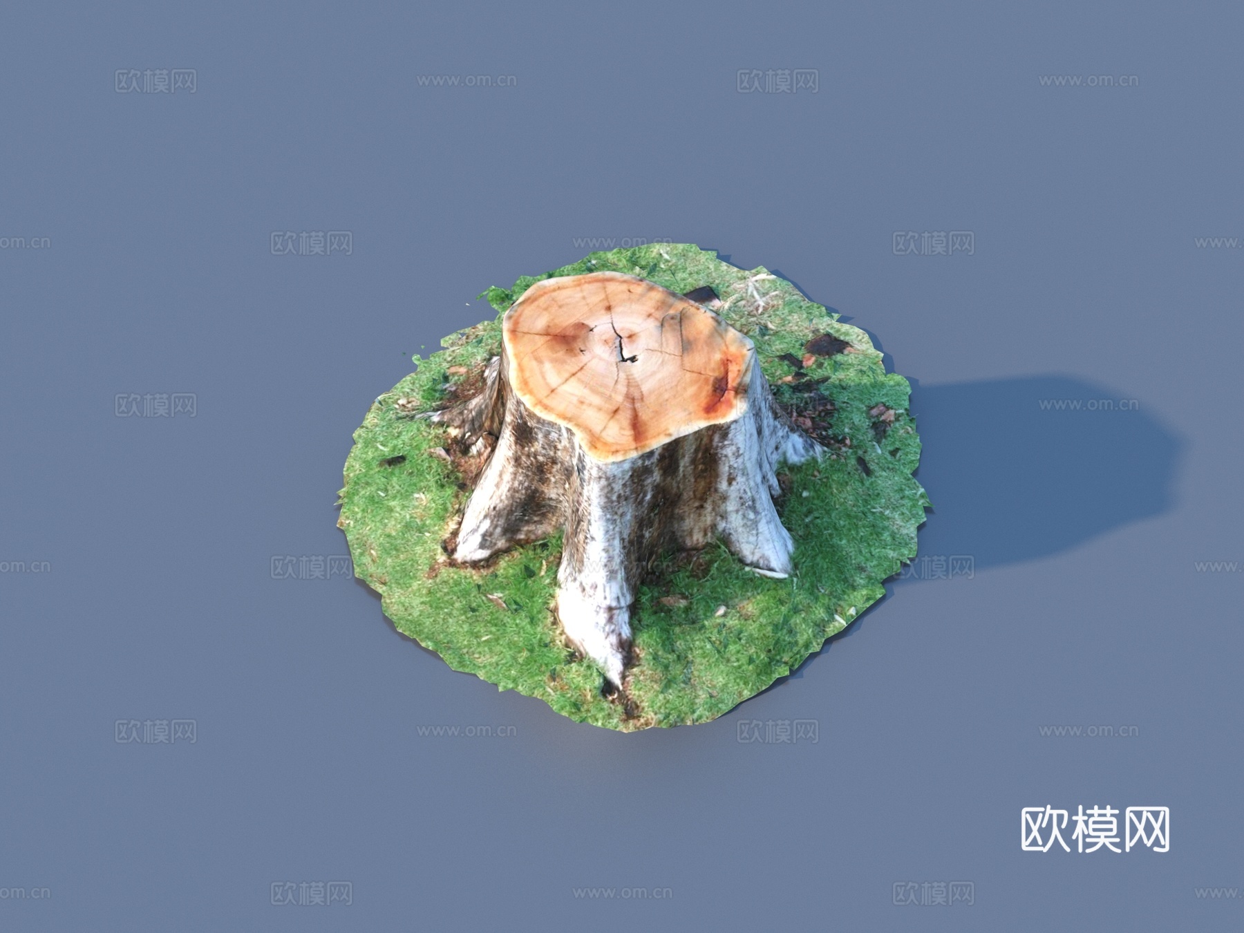 树干 木材 枯树 树桩3d模型下载