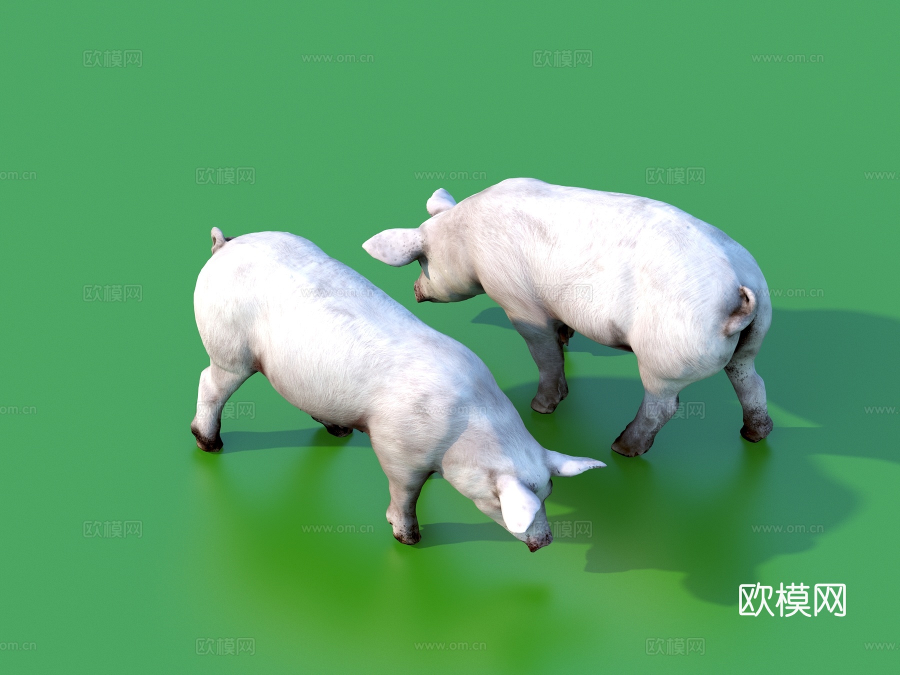 猪 家猪 卡通猪 游戏猪3d模型下载