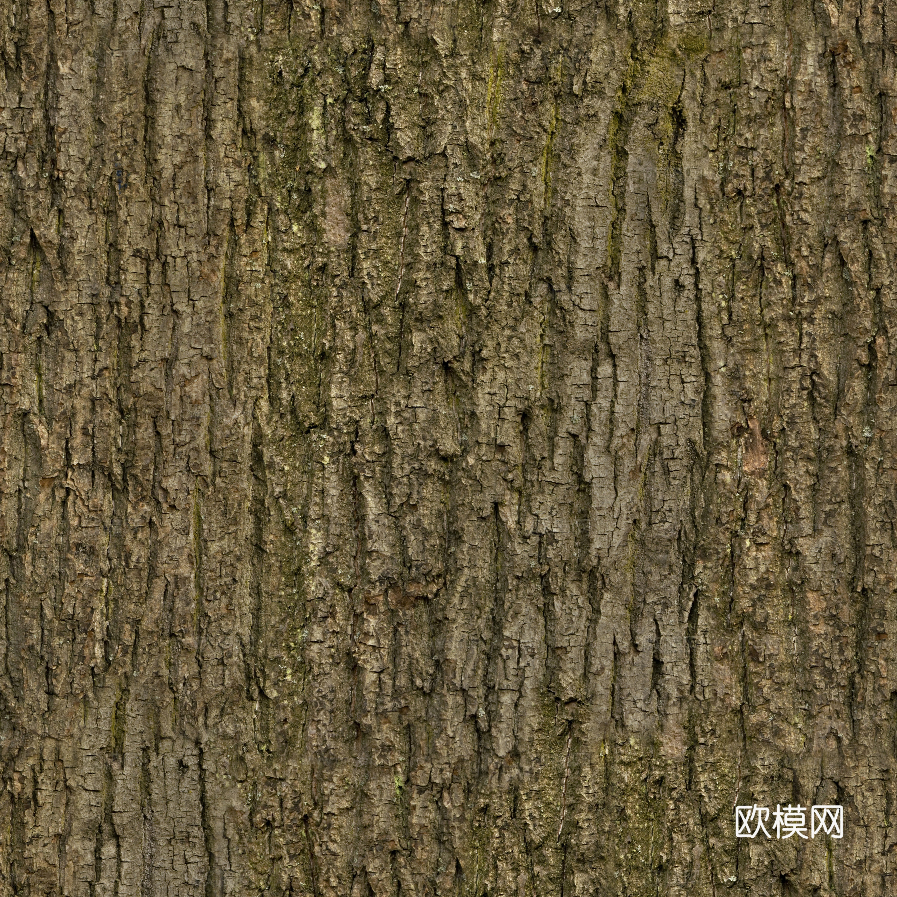 无缝树皮纹理贴图