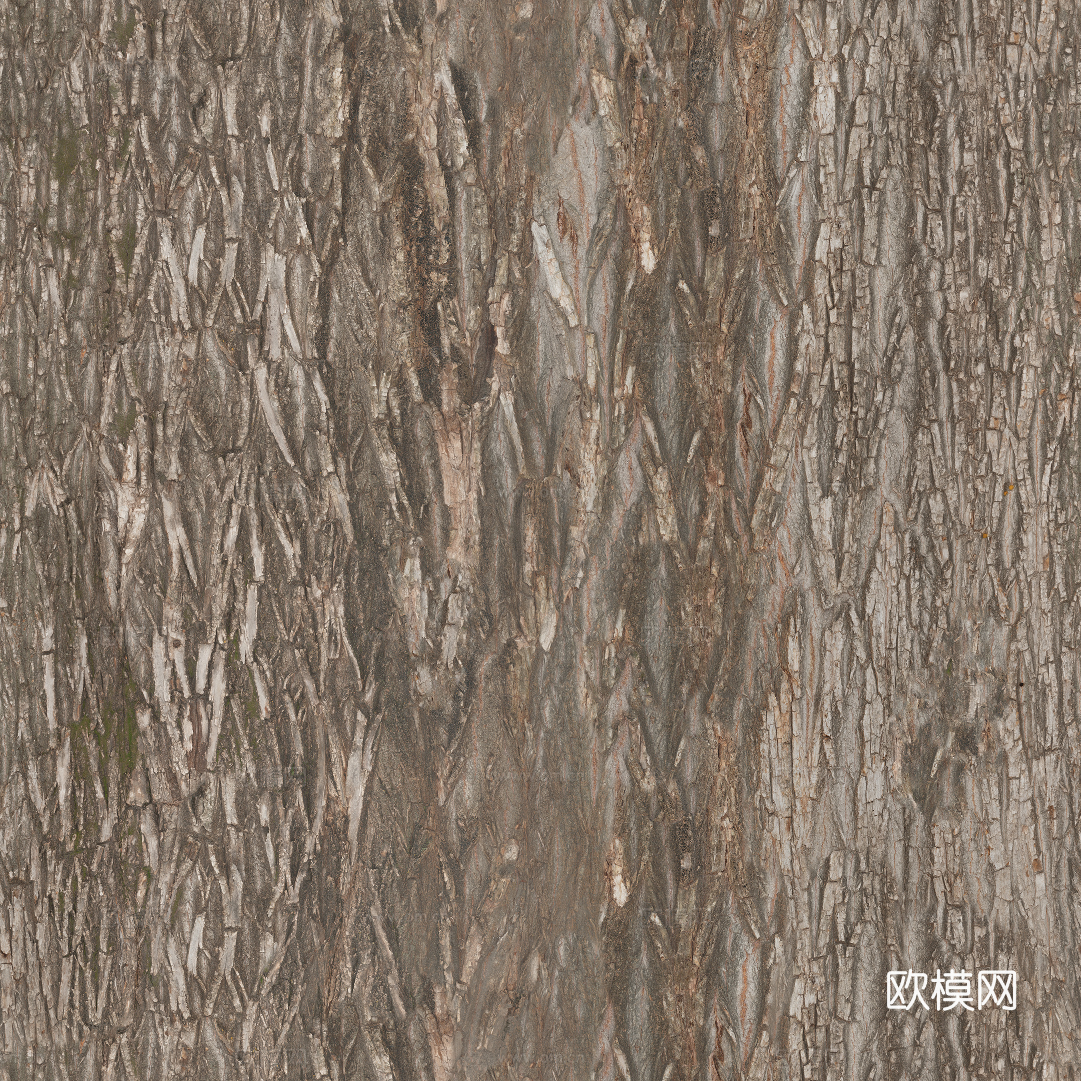 无缝树皮纹理贴图