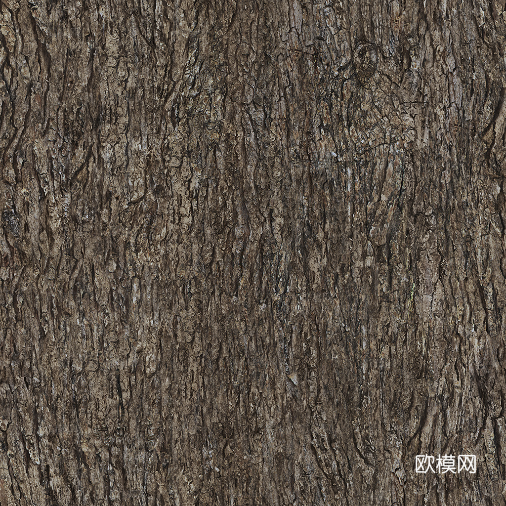 现代无缝树皮贴图