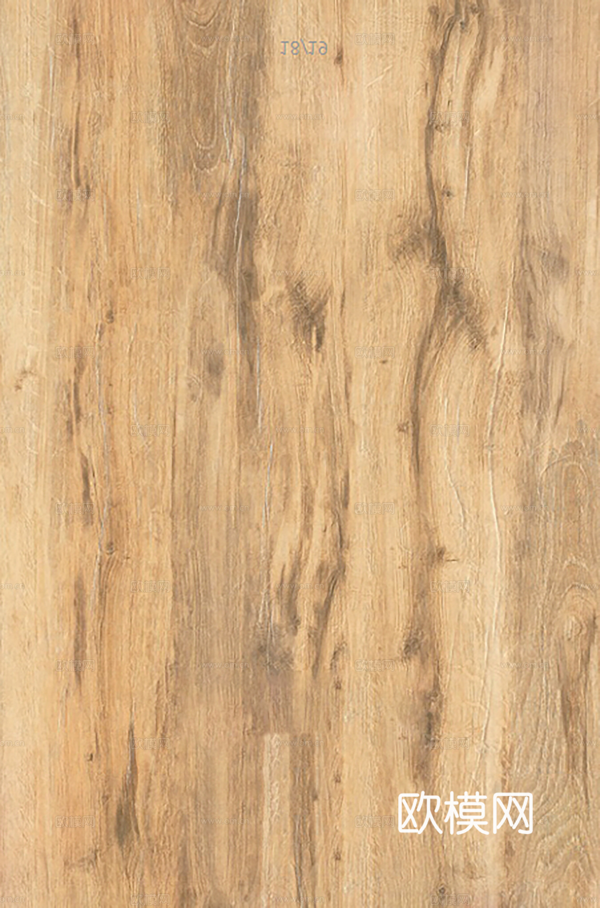 现代无缝树皮纹理古树表皮树木 木材旧木贴图