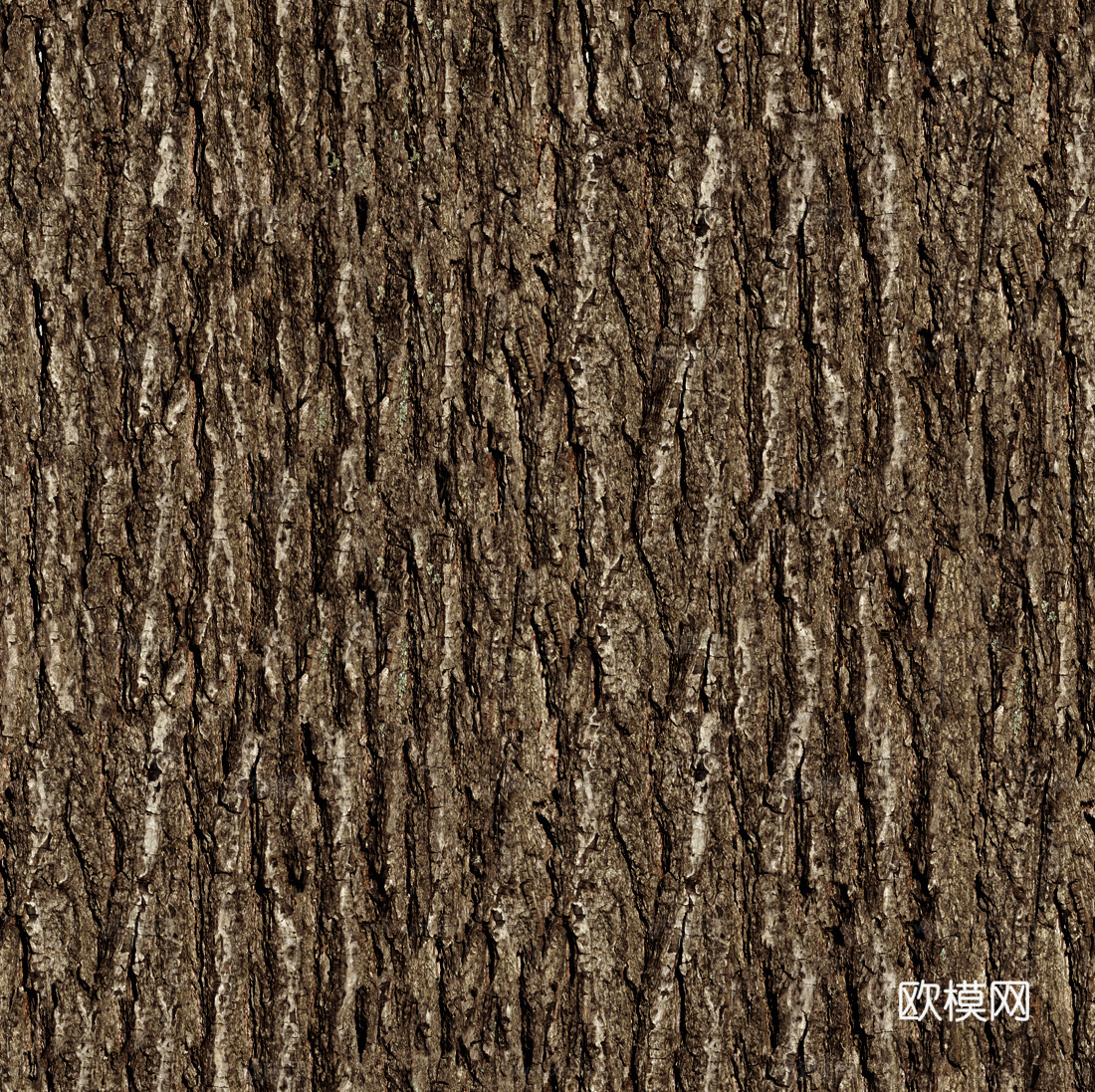 现代无缝树皮贴图