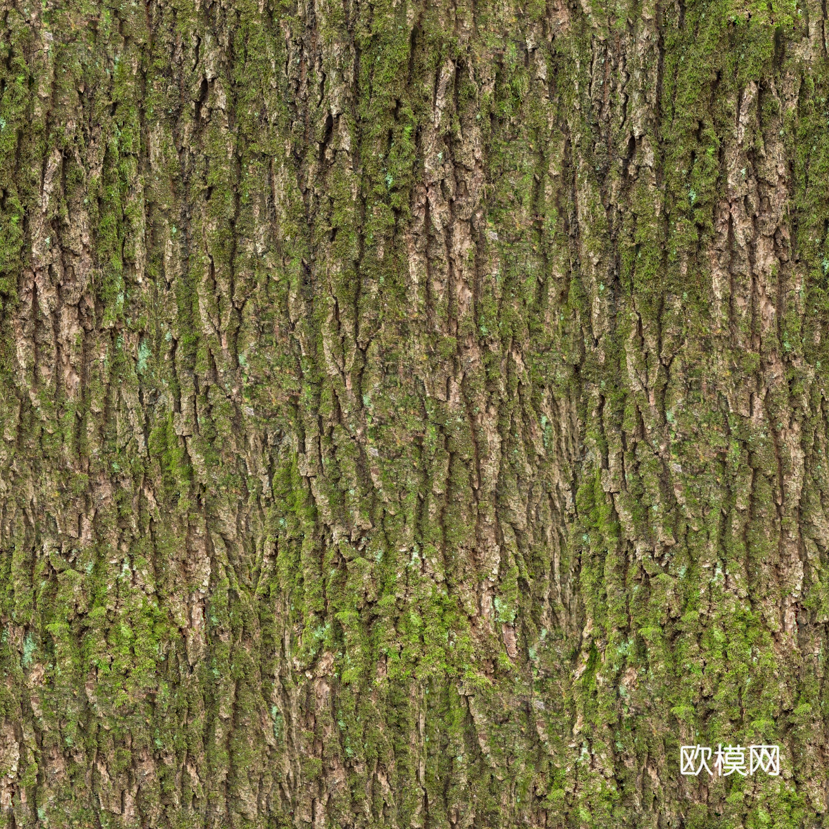 无缝原木树皮真实树皮贴图