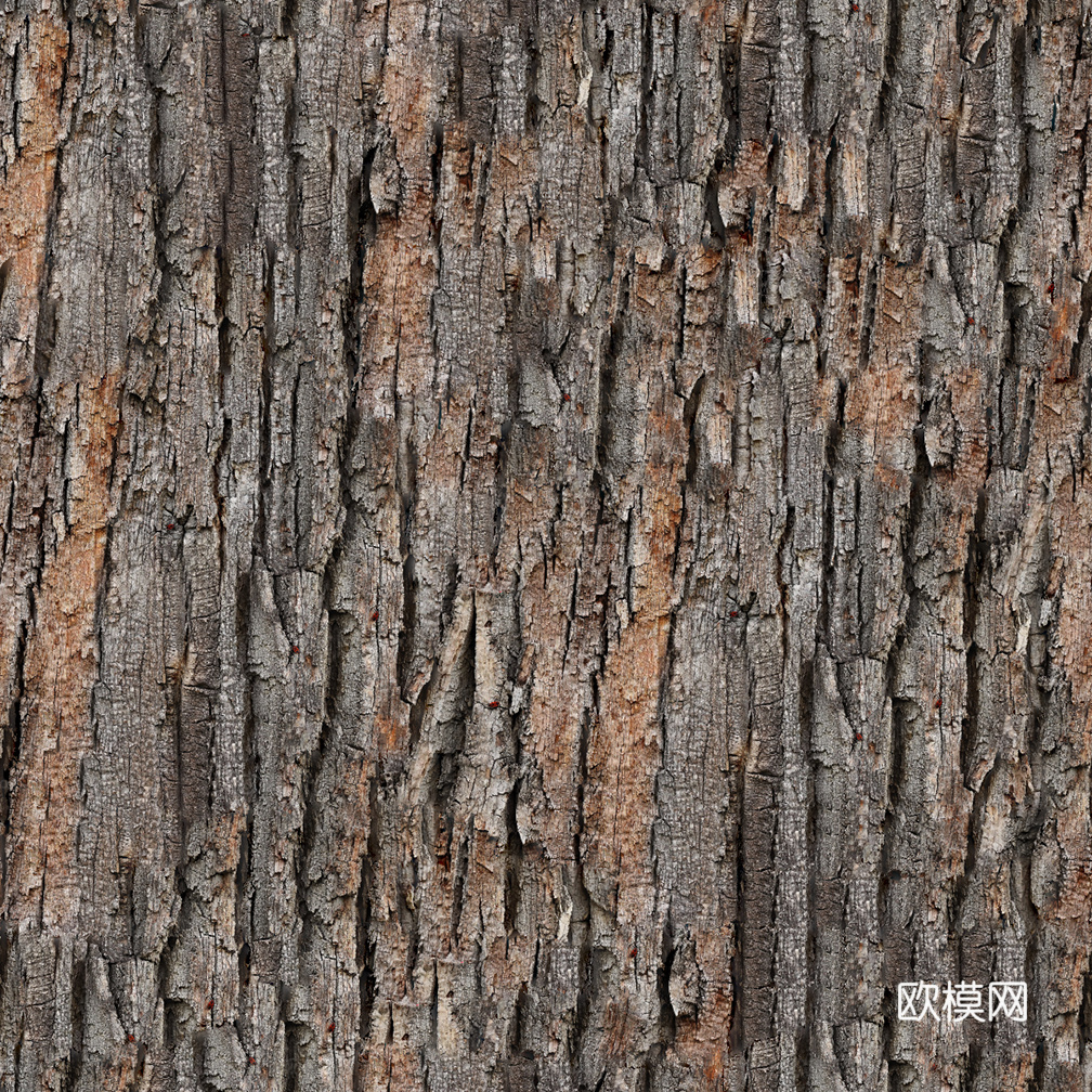 无缝松树皮贴图下载