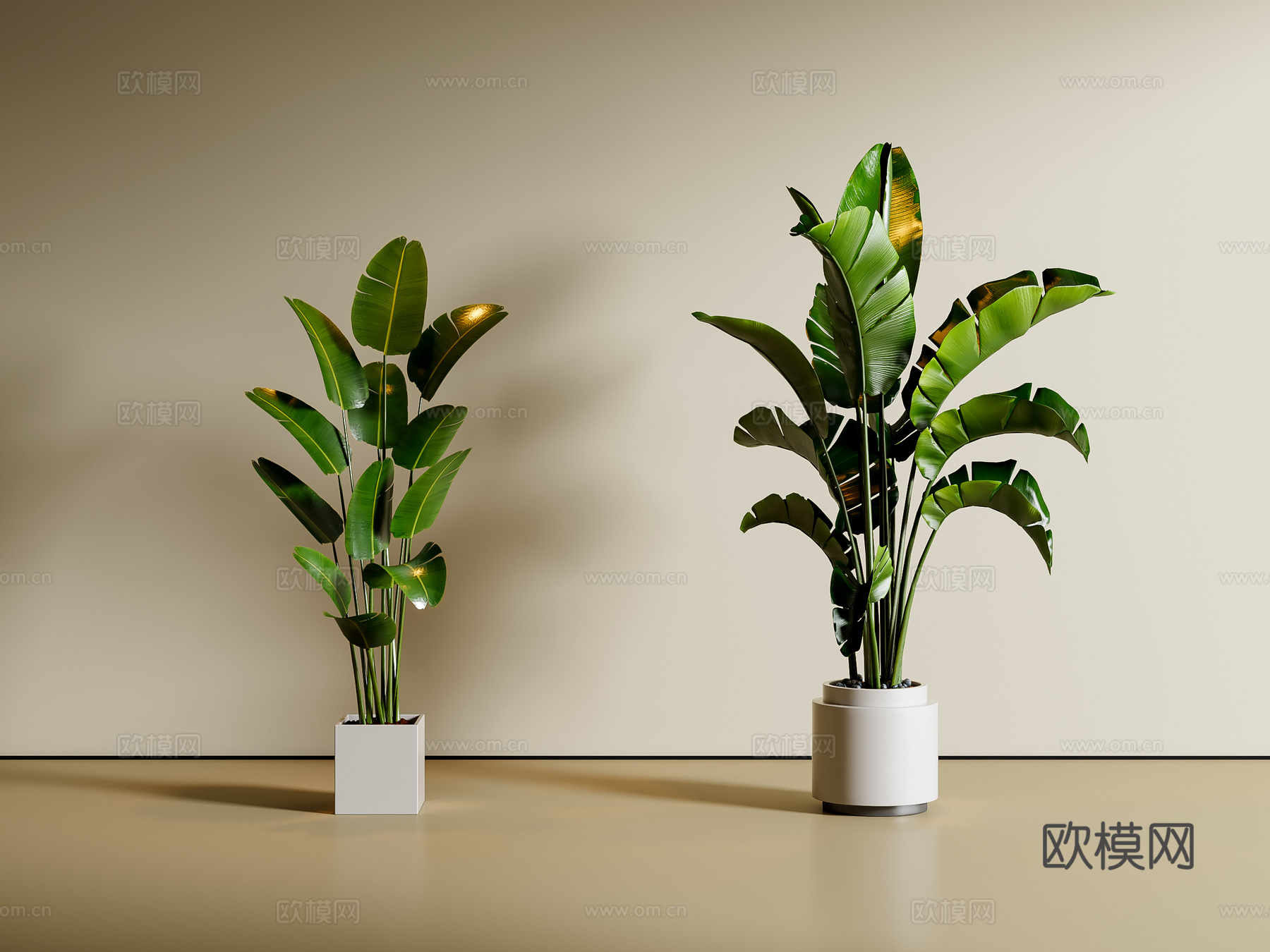 现代绿植盆栽 植物 盆景su模型