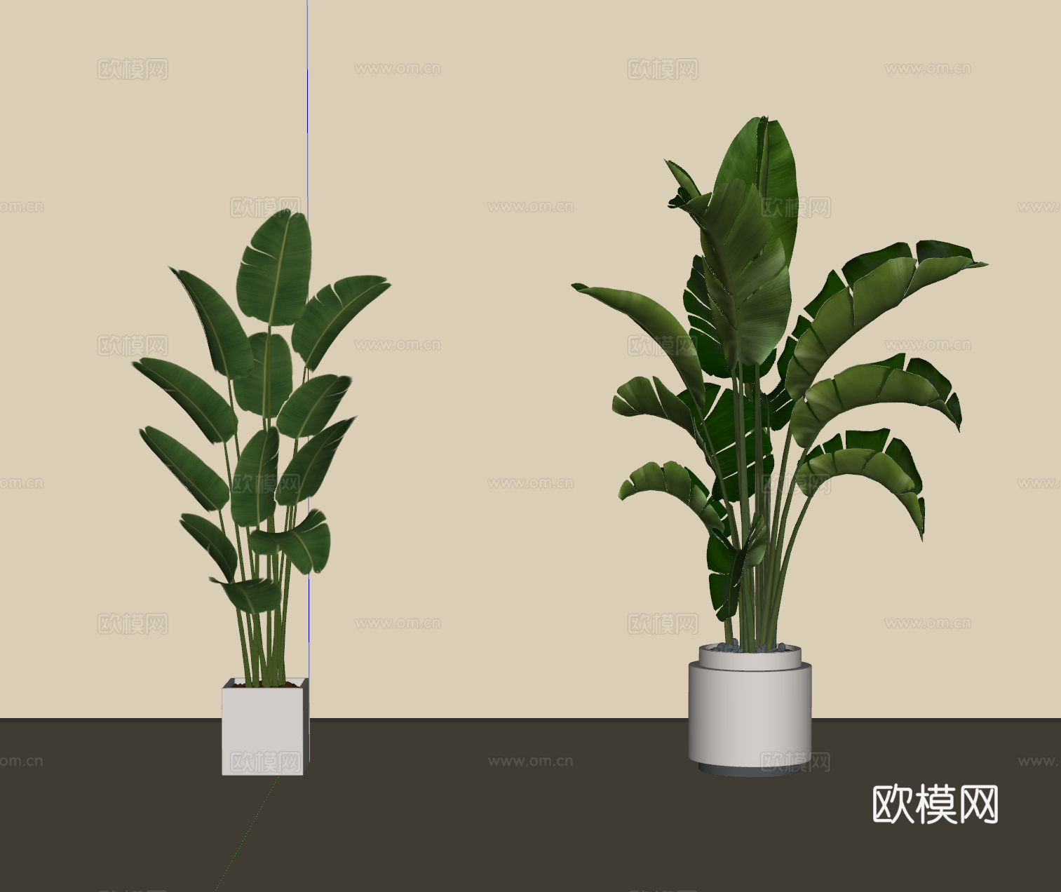 现代绿植盆栽 植物 盆景su模型