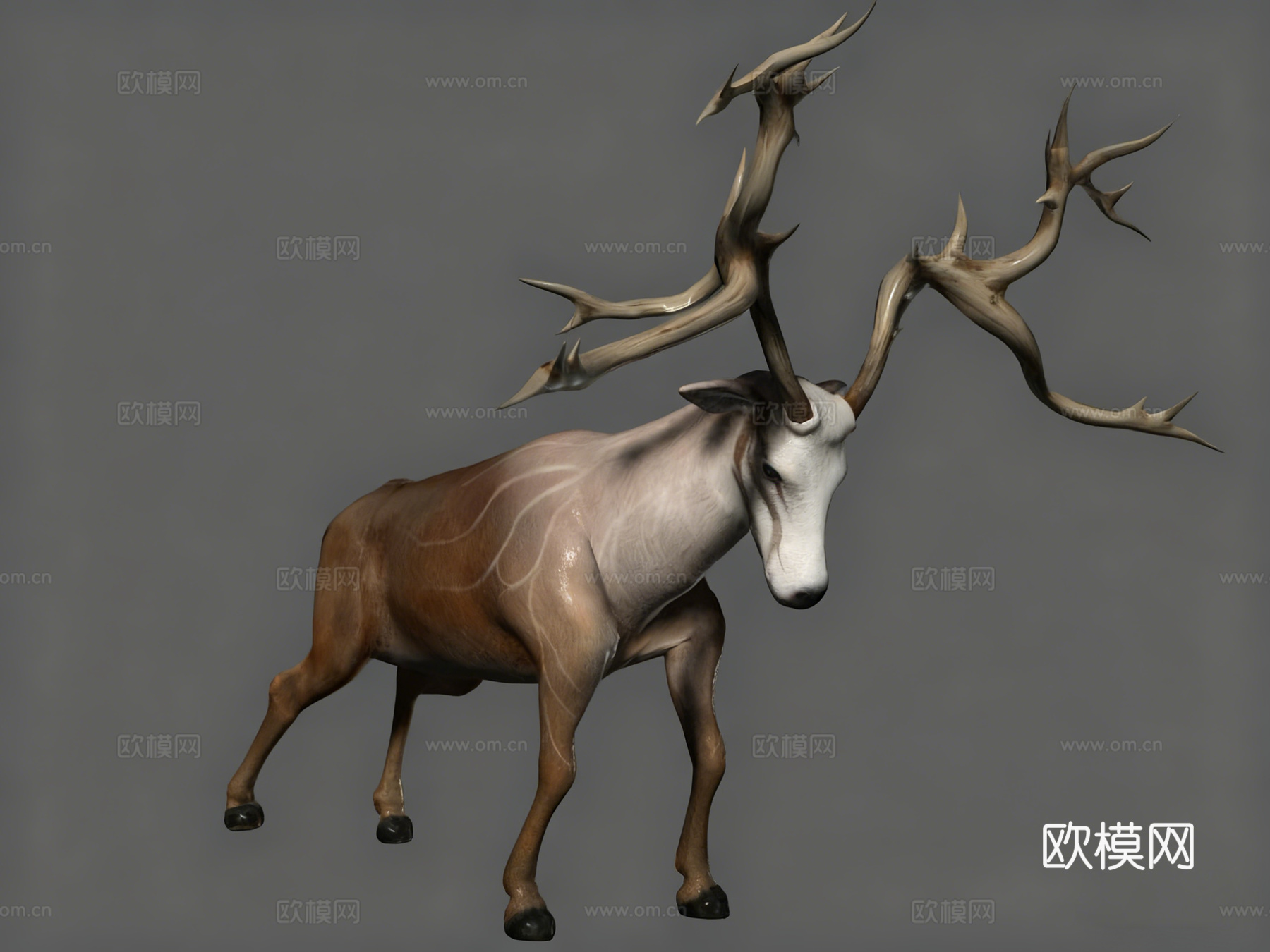 次世代麋鹿3d模型下载（渲染图3）