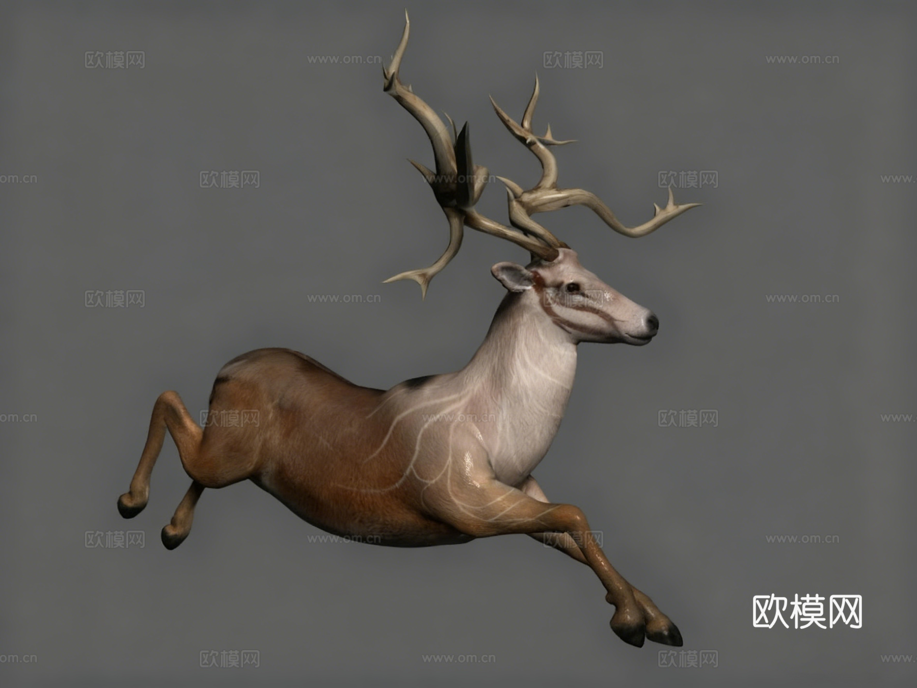 次世代麋鹿3d模型下载（渲染图2）