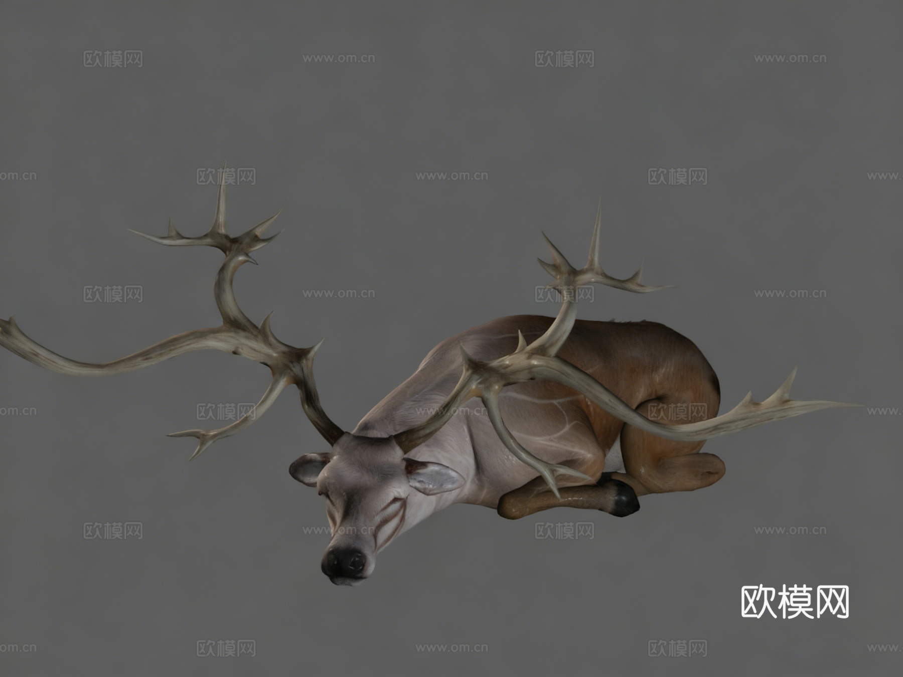 次世代麋鹿3d模型下载（渲染图5）