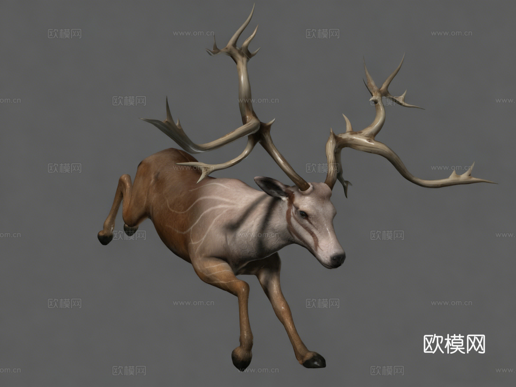 次世代麋鹿3d模型下载（渲染图4）